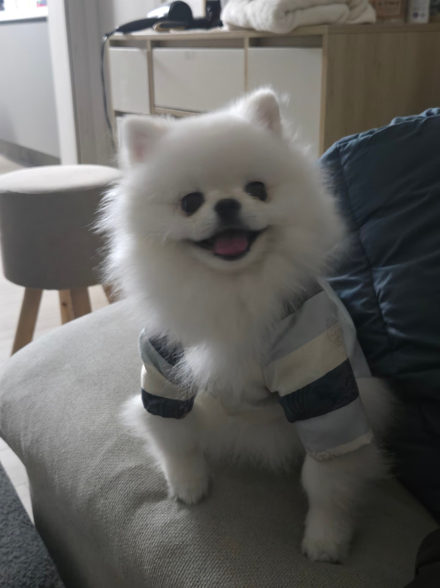 마감 감사합니다 담좌 커미!둘리!