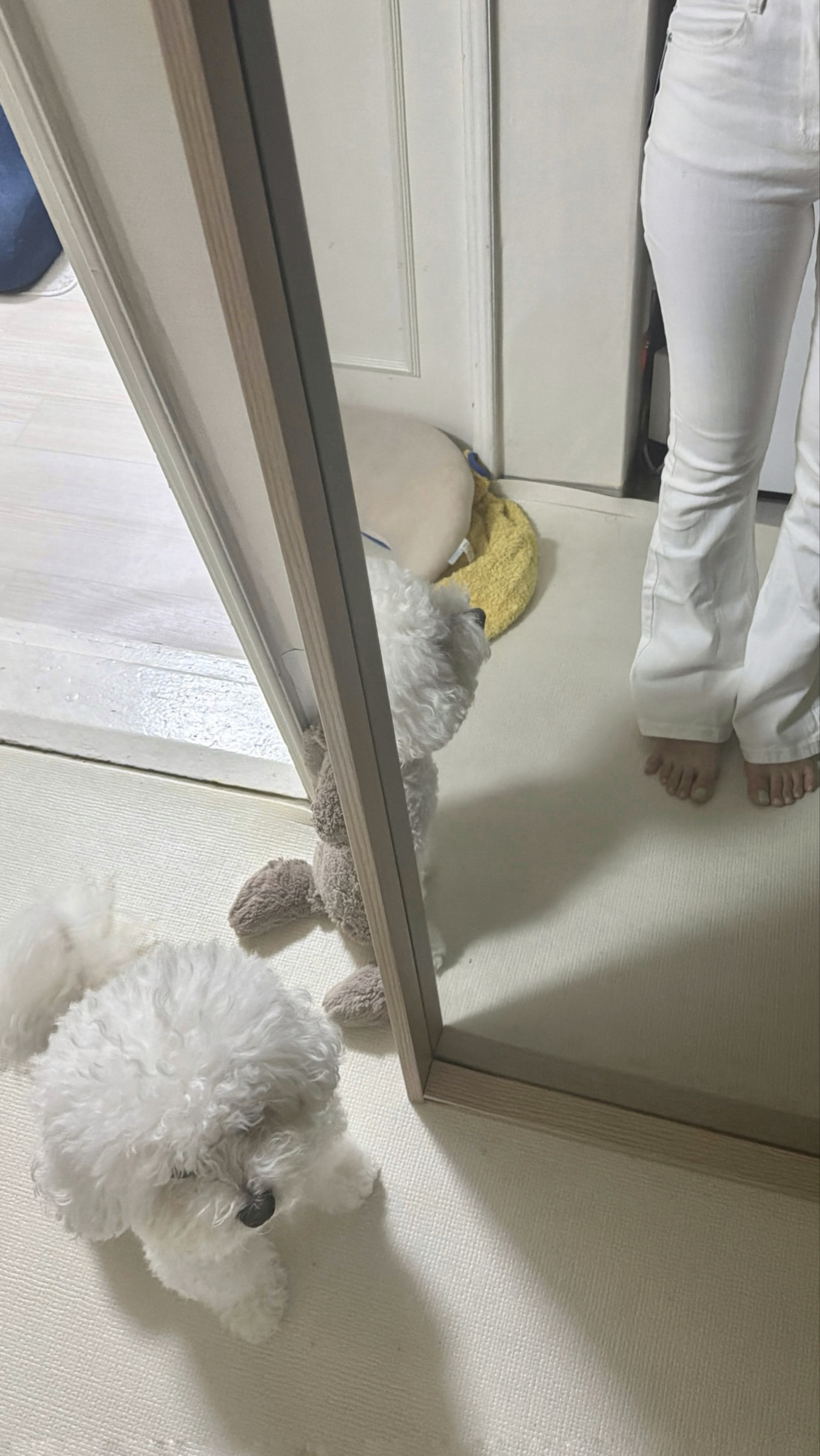 너 내 말랑이 할래?❤️‍🔥