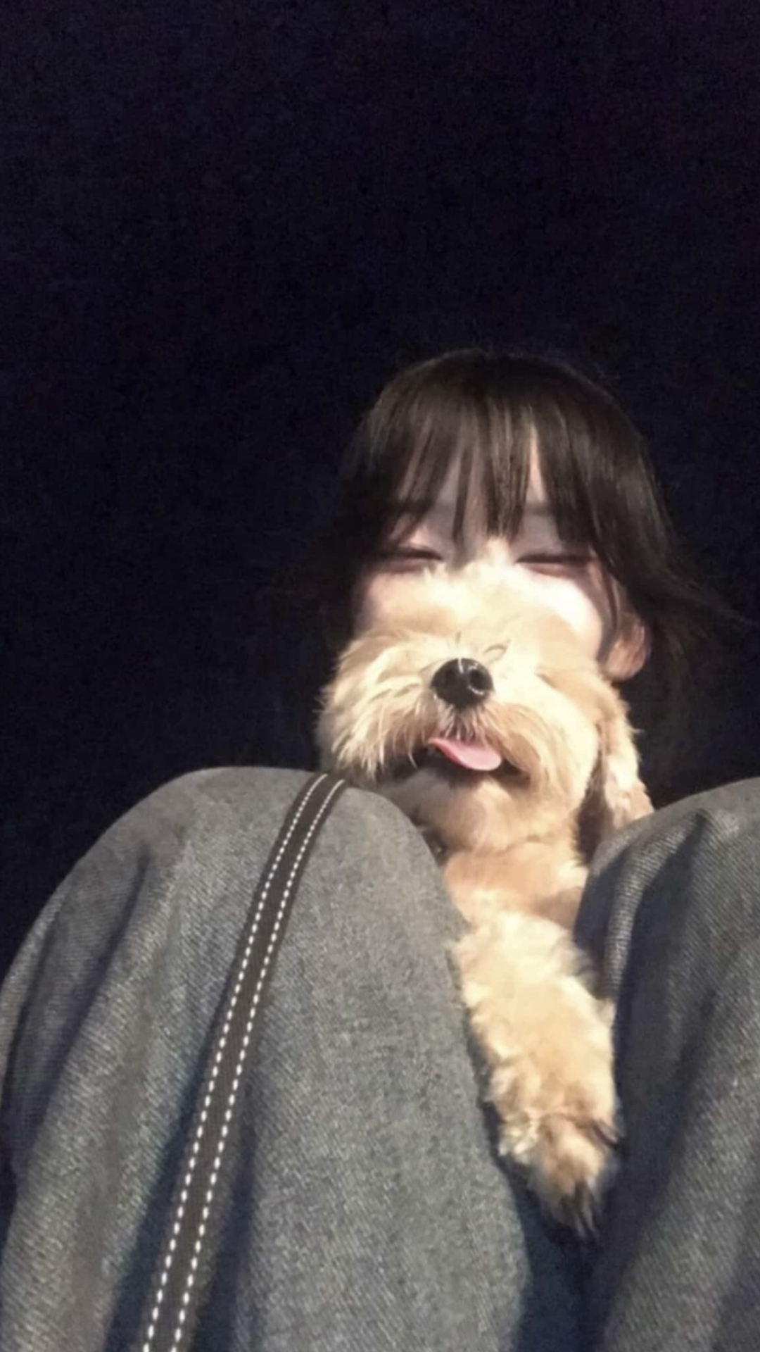 4일차 저점매수