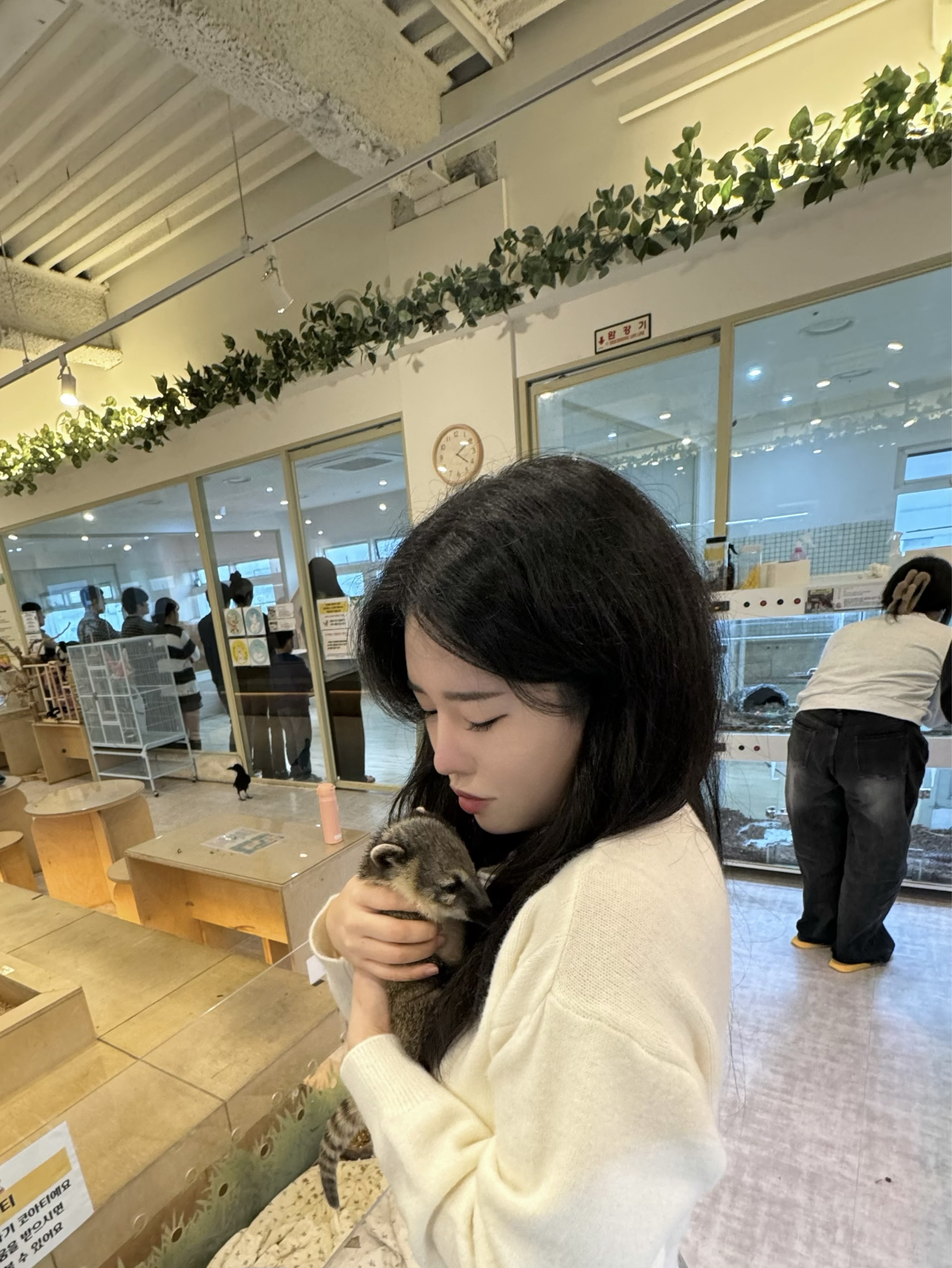 어서오됴