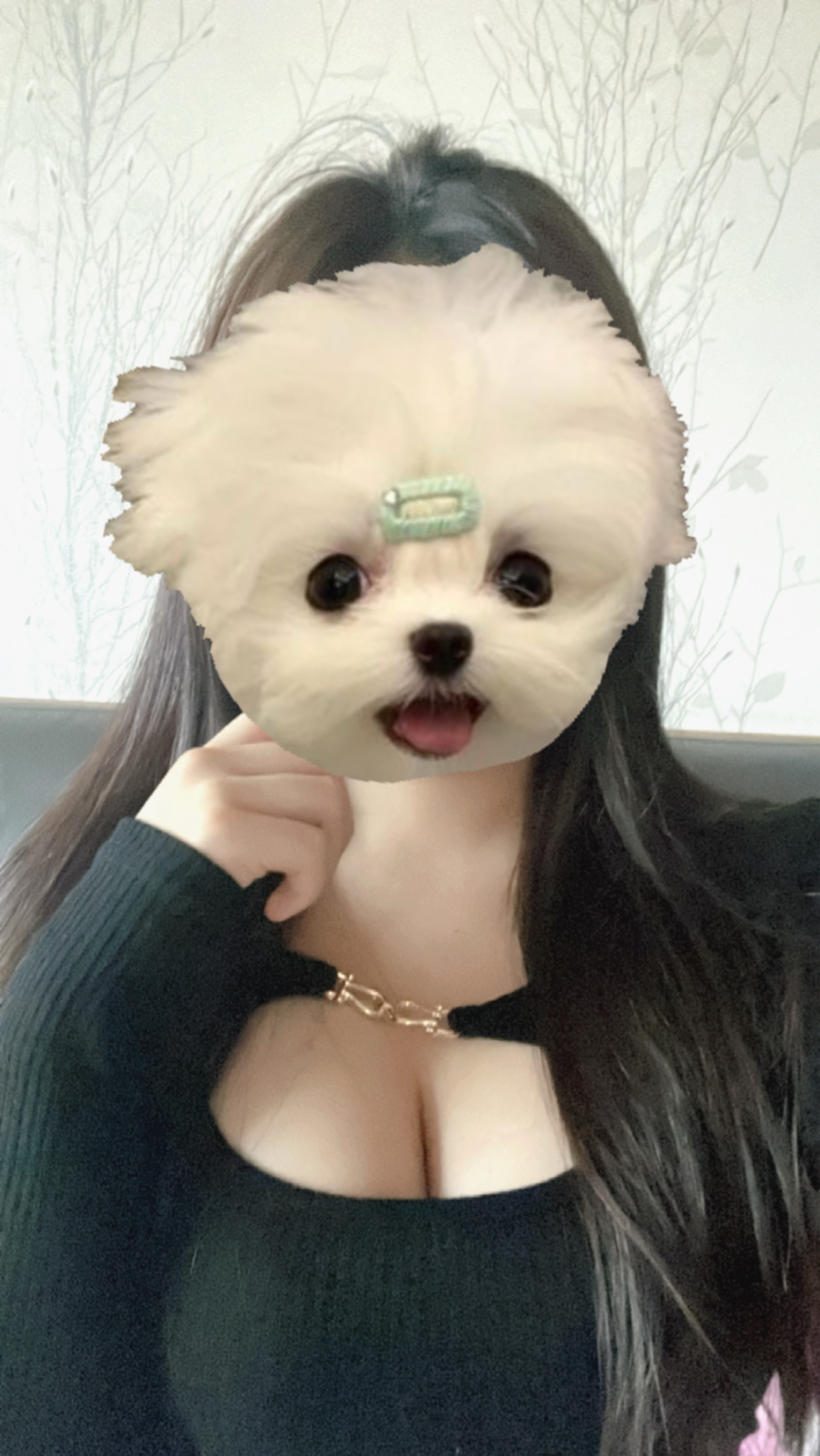 안녕하세용