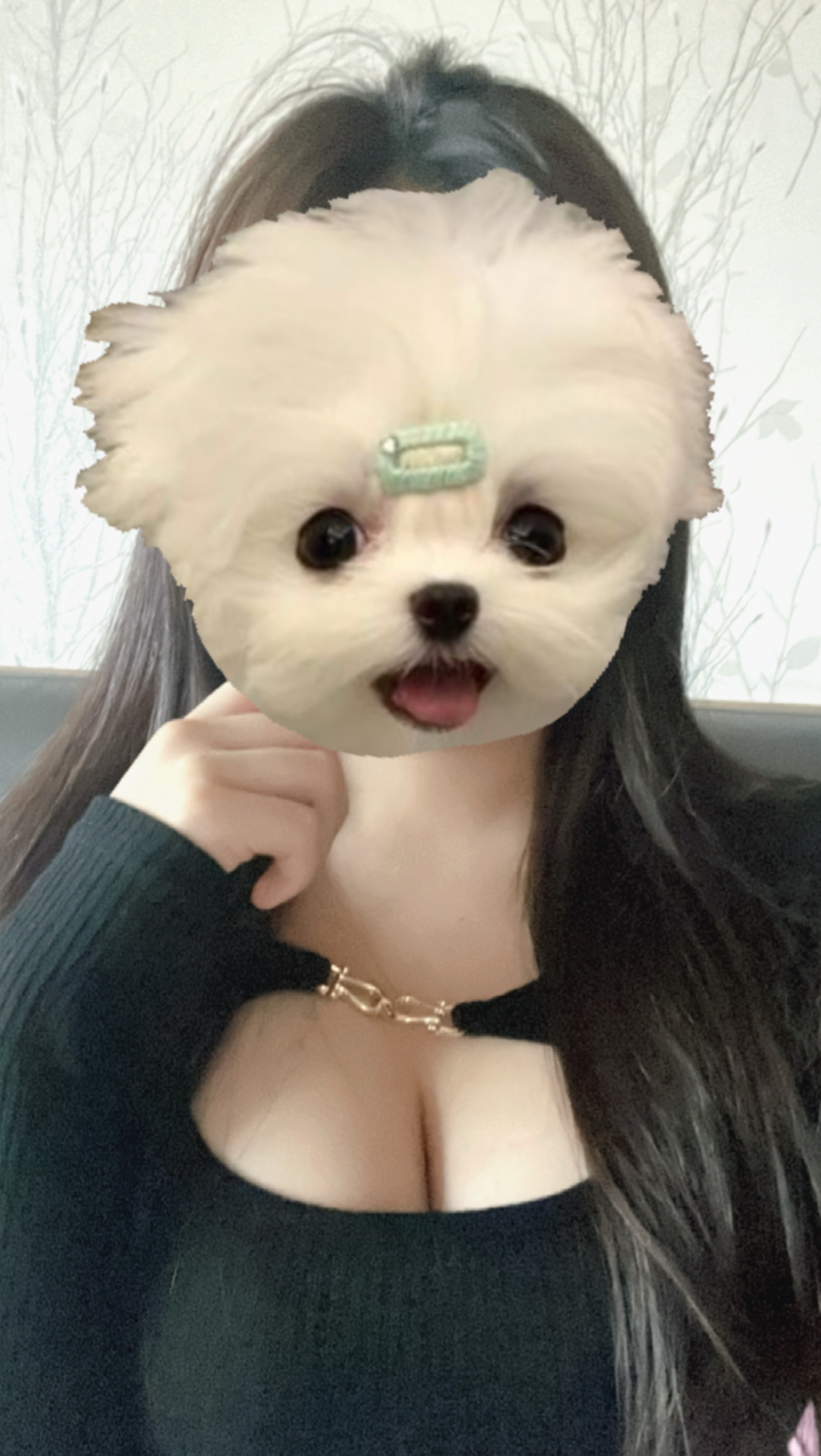 안녕하세용