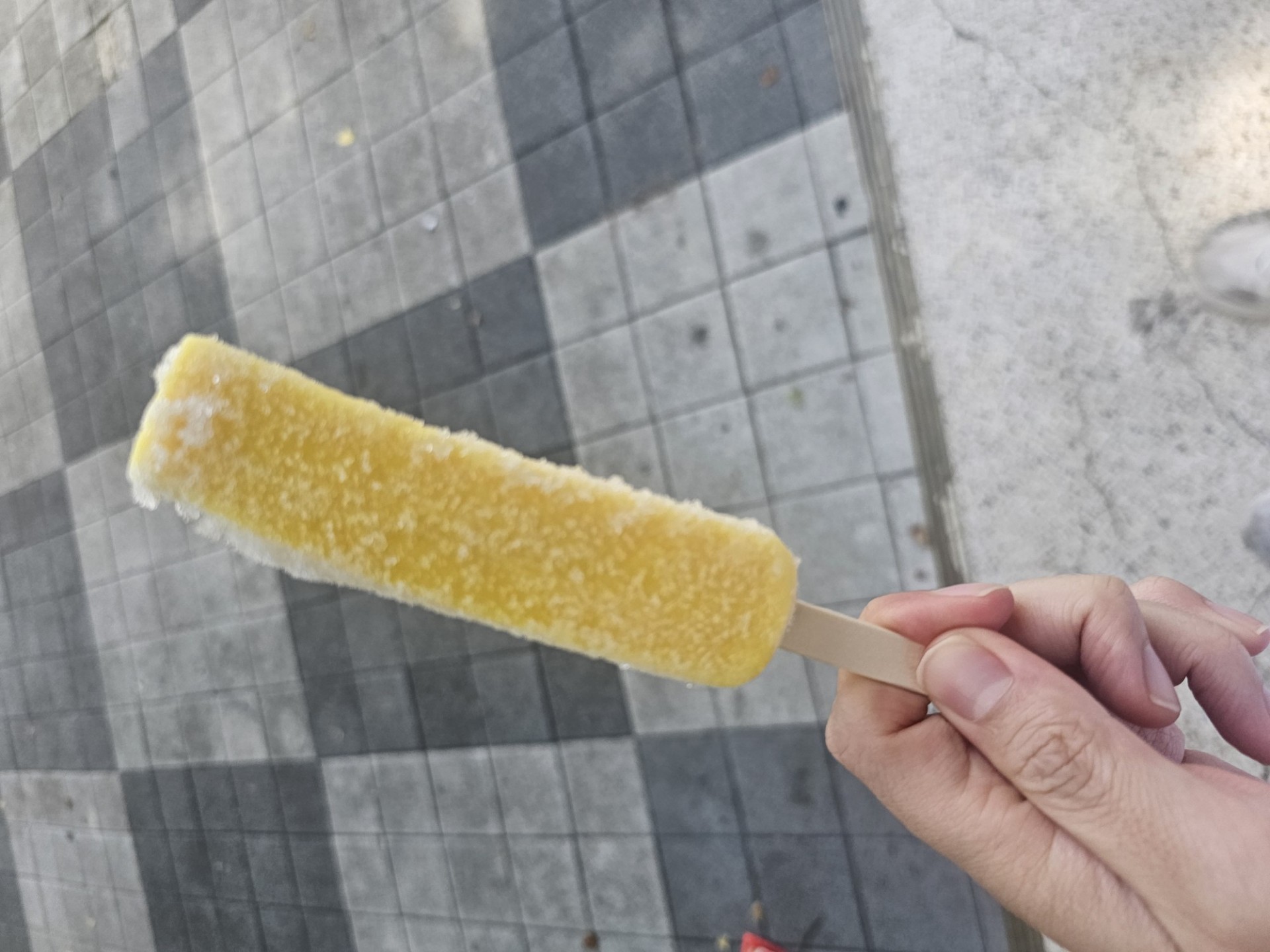 오늘은 산책방송