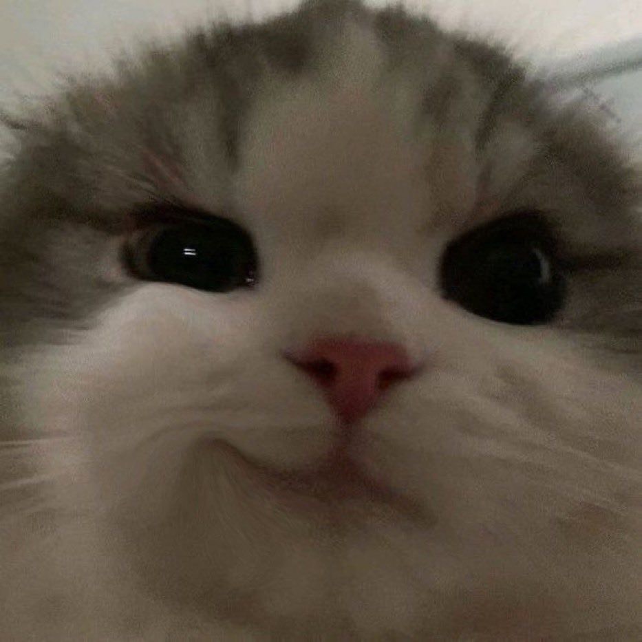 노가리