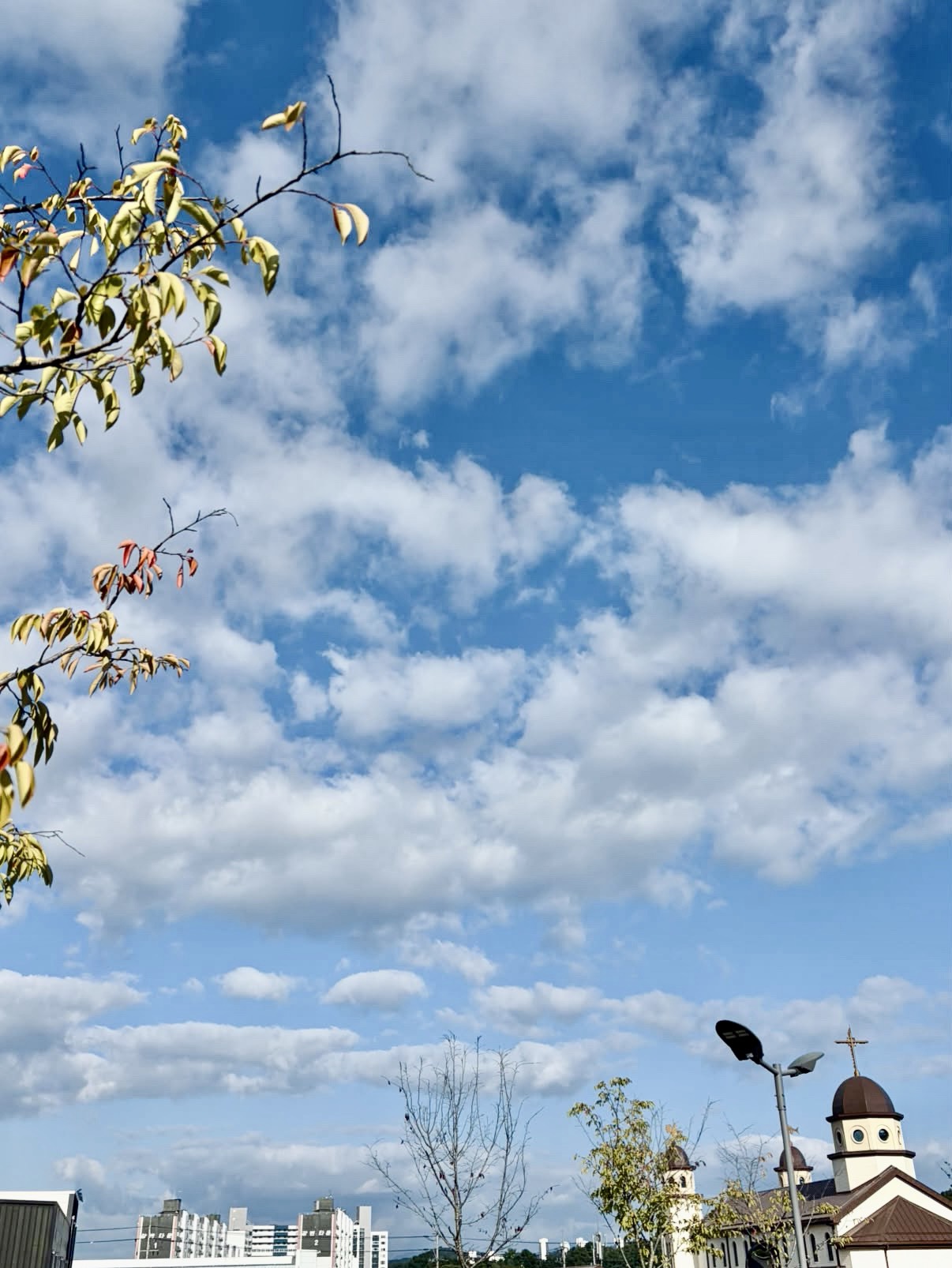 해가 떴지만 잠이 부족한가요?