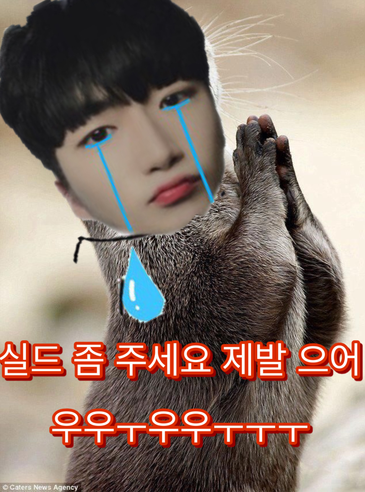 내려앉는 포근함 