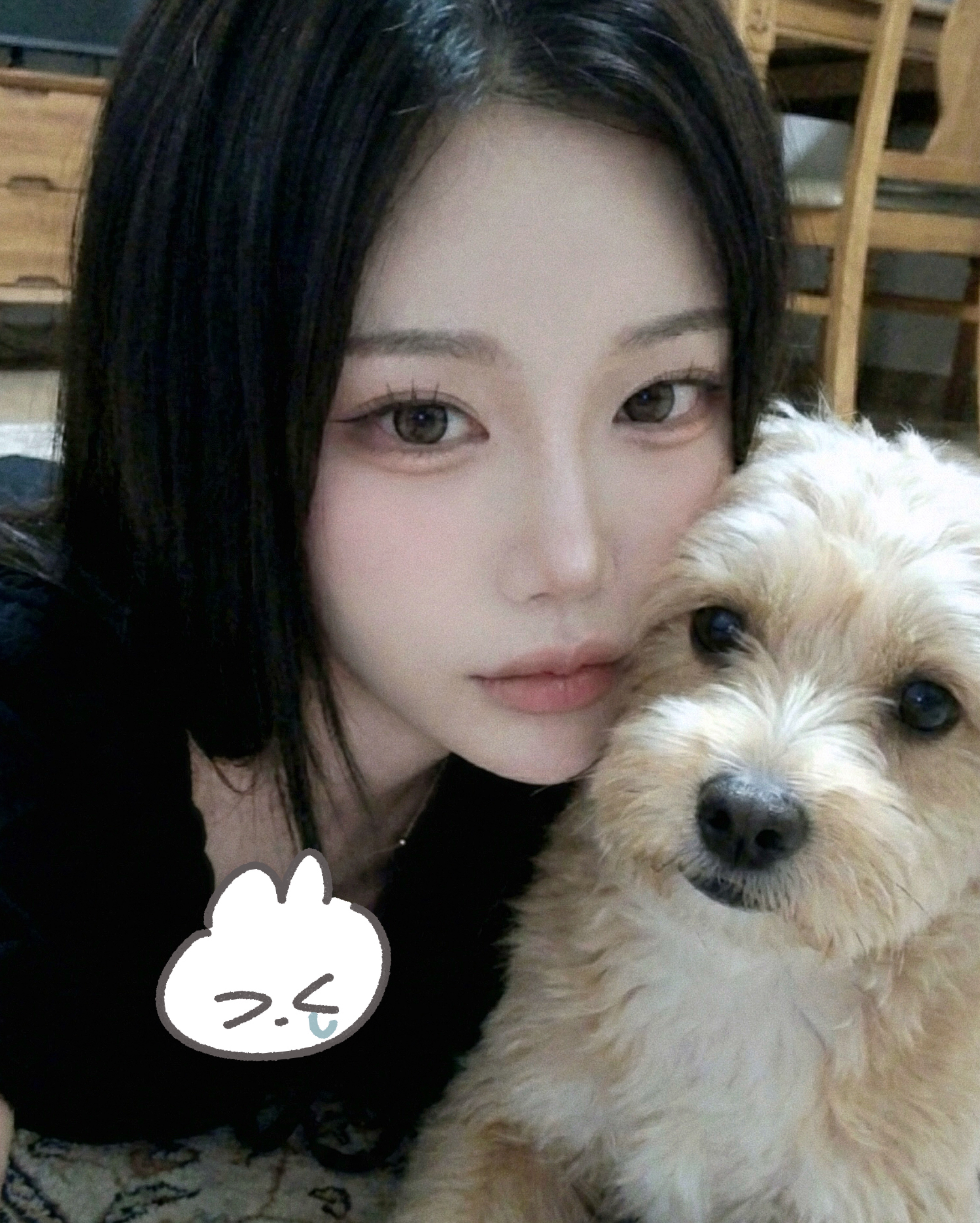안뇽!