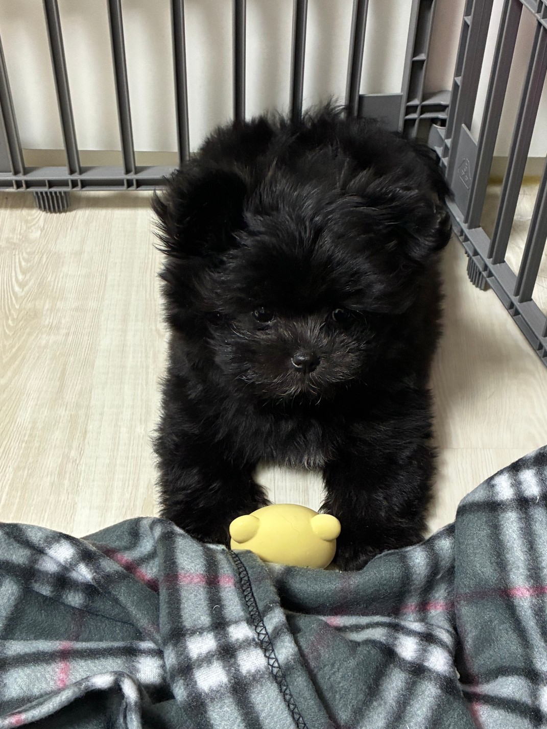 퇴근 전쟁 레츠코