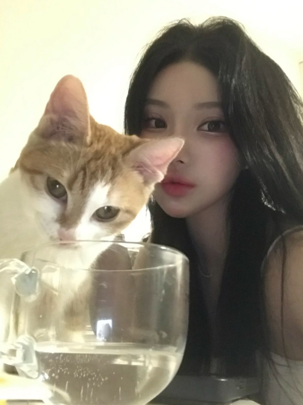 멘헤라저아영