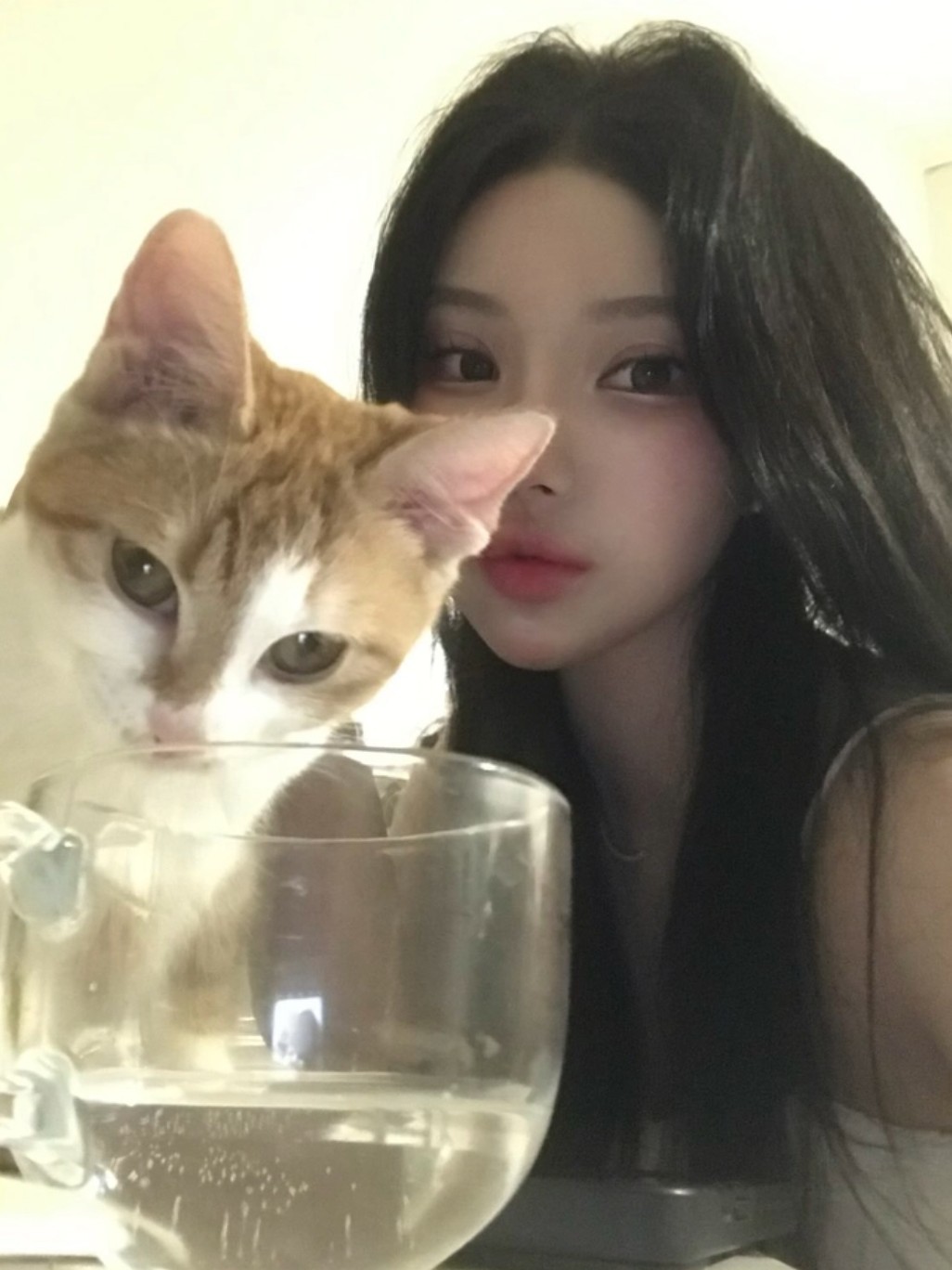 멘헤라