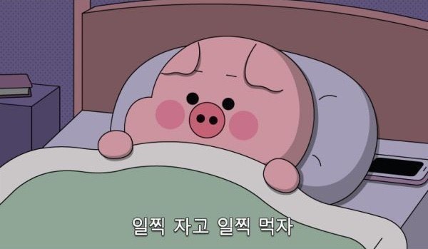 해가 떴지만 잠이 부족한가요?