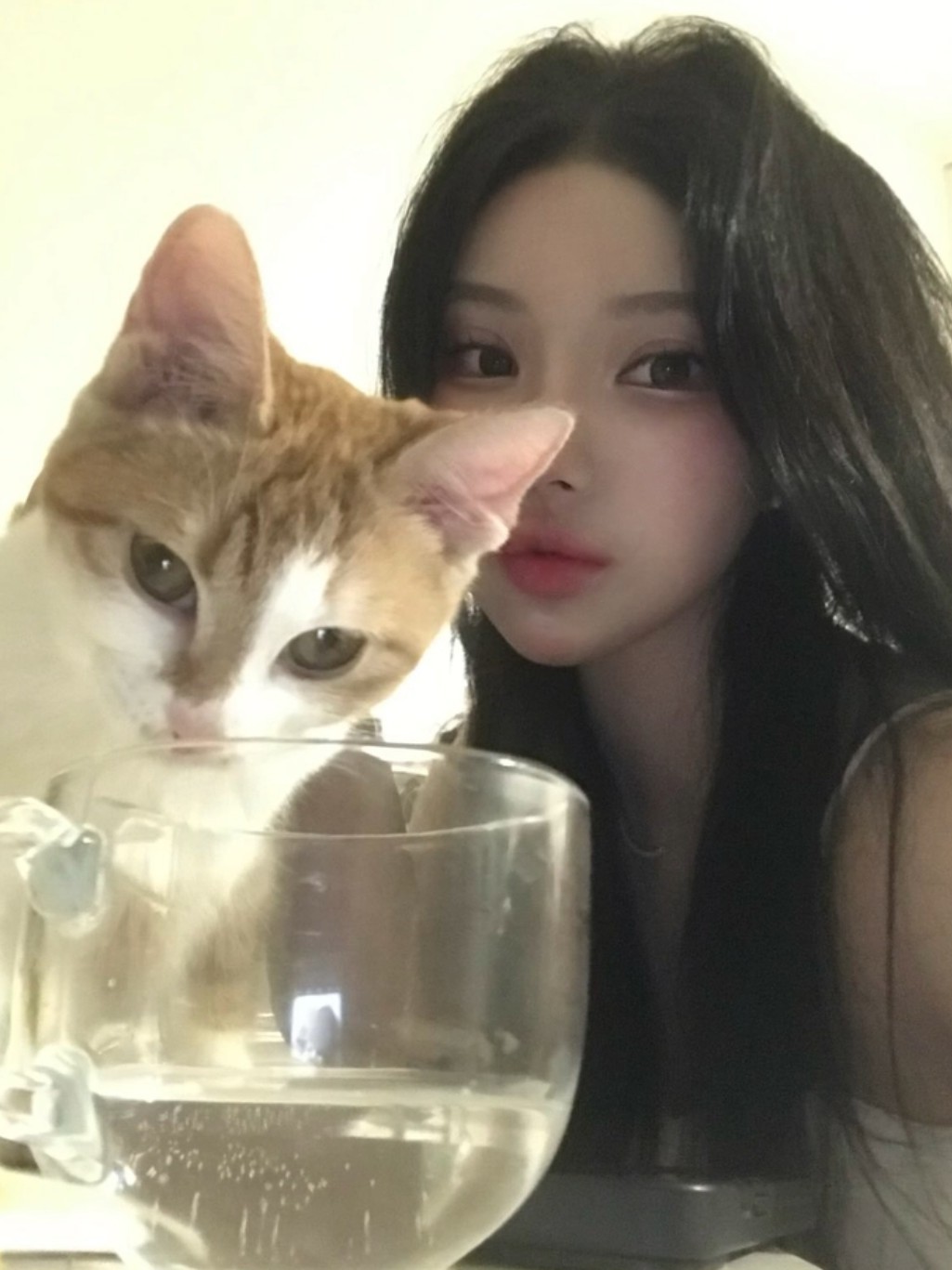 멘헤라정병남조아