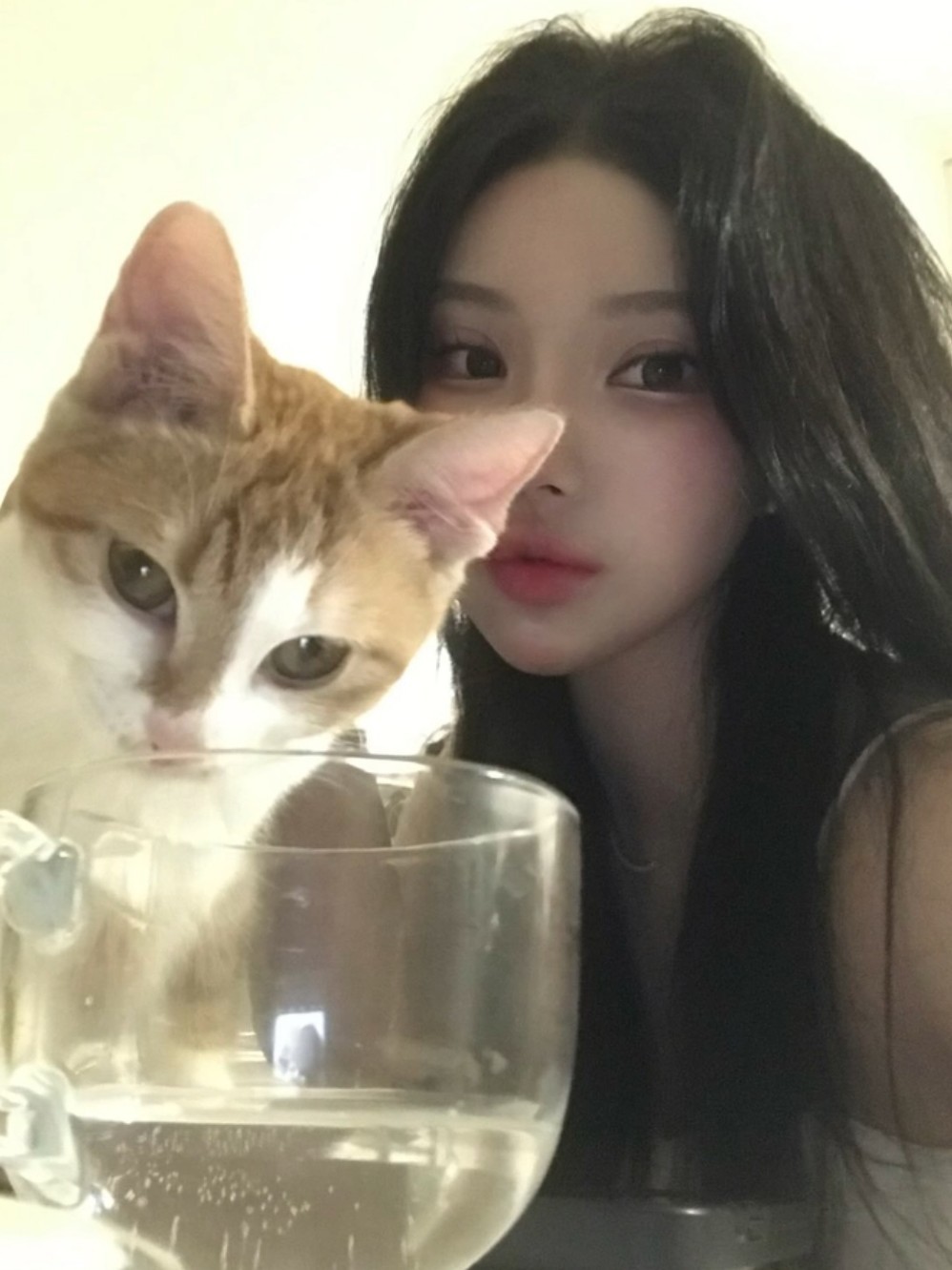 ㅉㅈㄴ