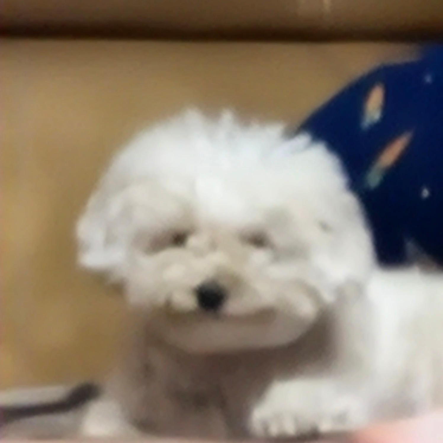 ❝ 한 스푼만 더 행복하세요 ❞