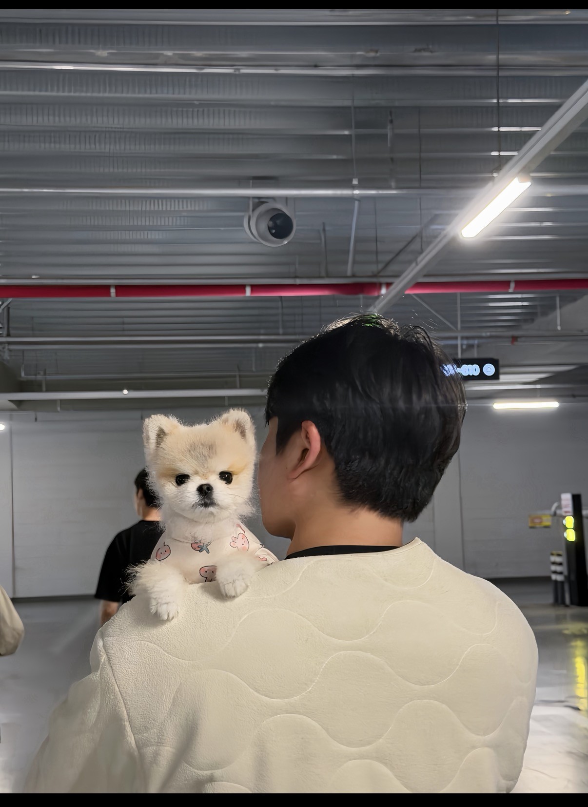 # 마감마감 렉스예수