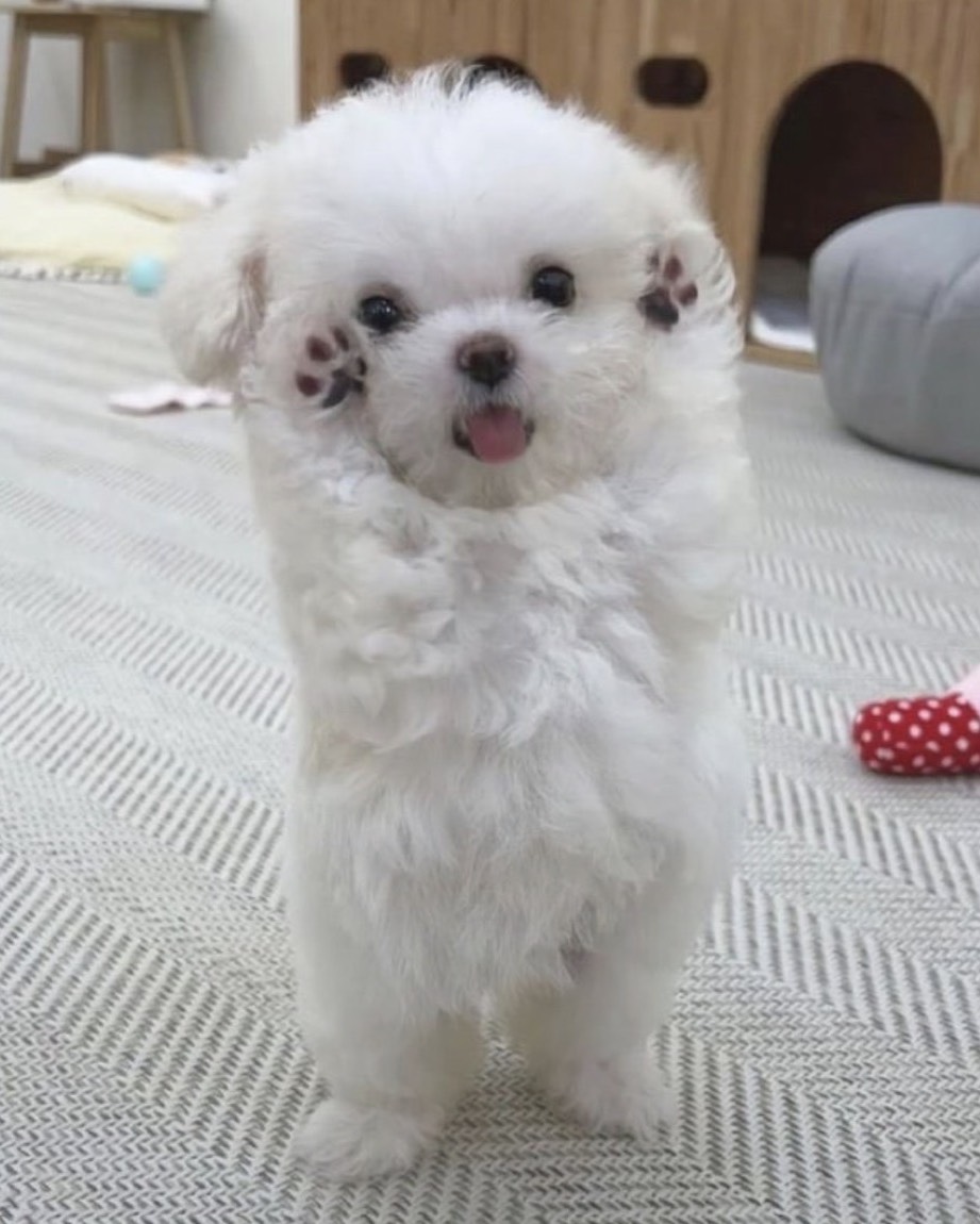 자고 싶은데 잠이 오질 않나요?