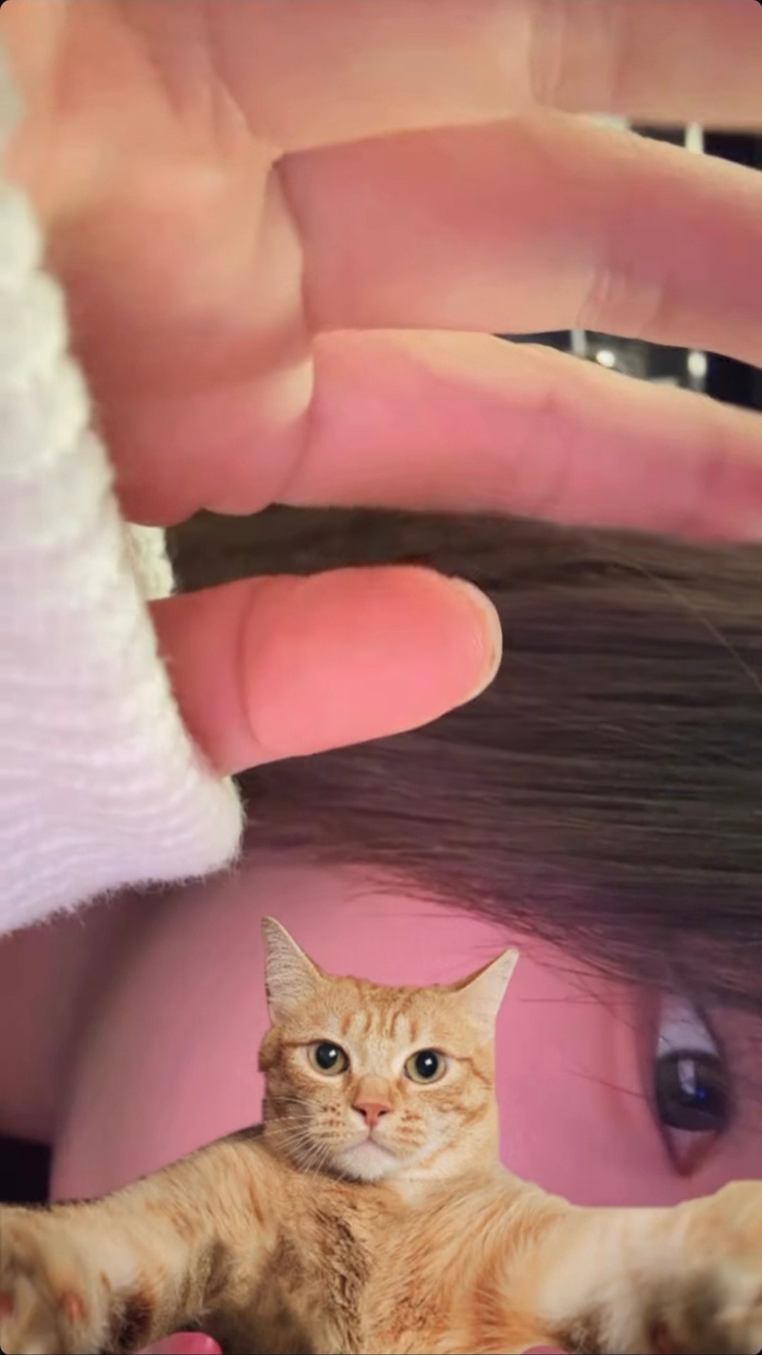 오랜만이야