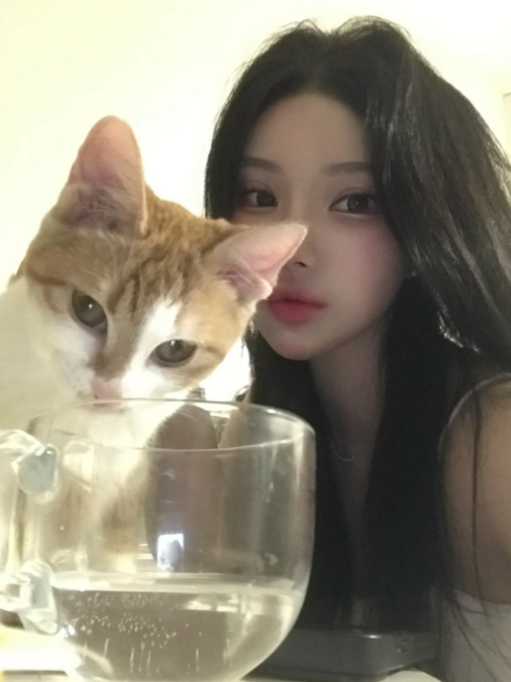멘헤라