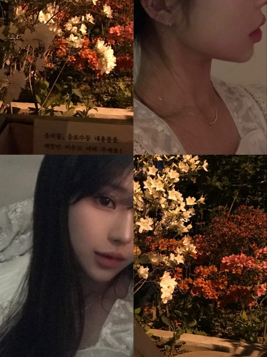 도피민채워주ㅅㅇ