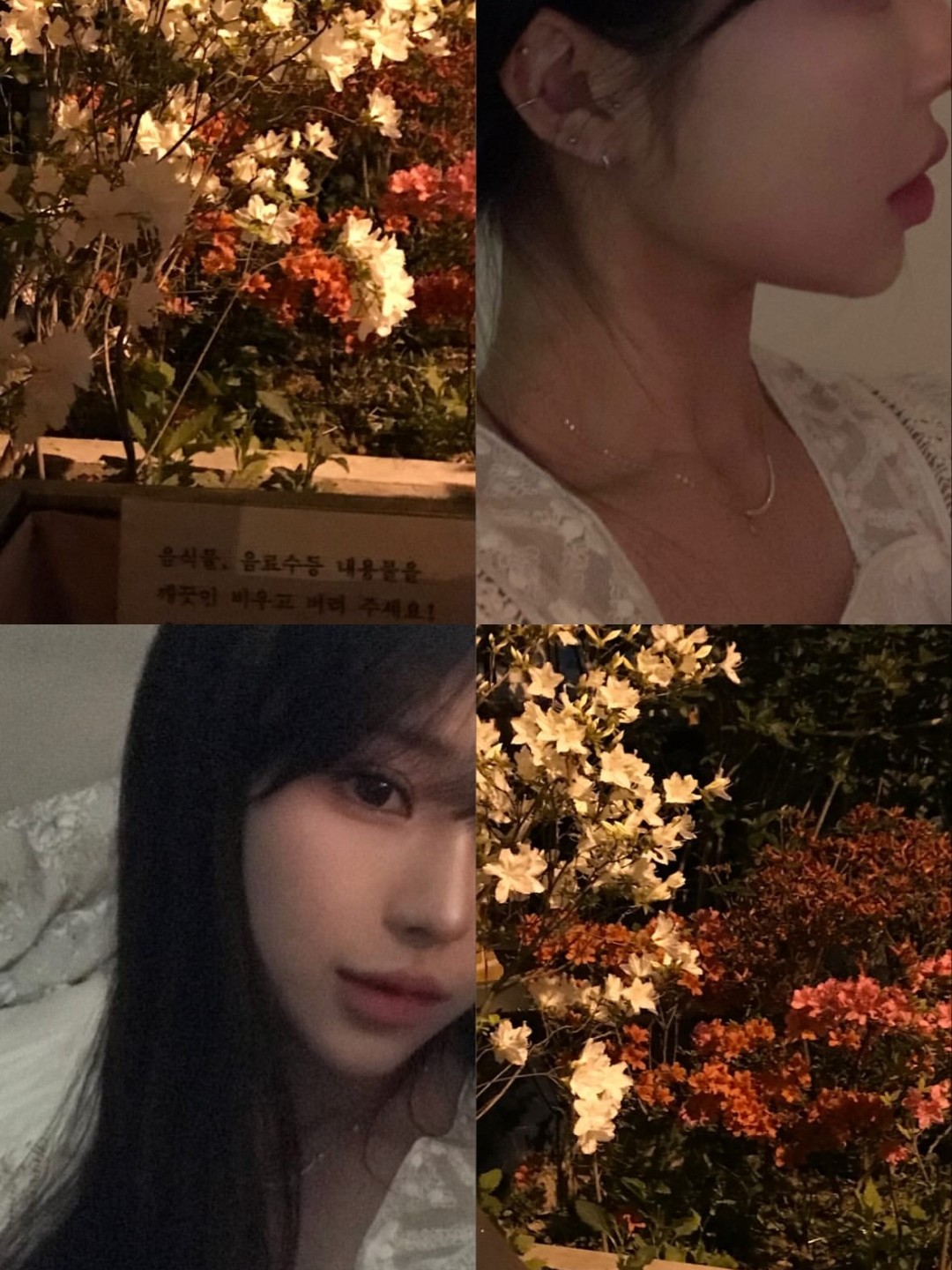 멘헤라정병키워쥬셍용