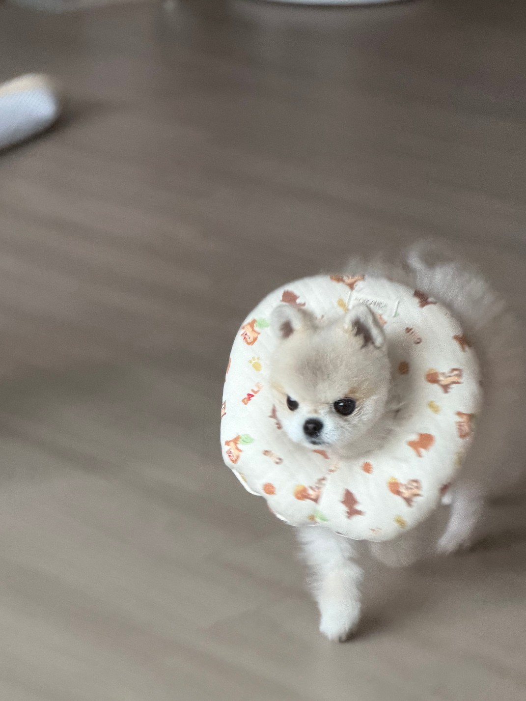 # 마감마감 렉스