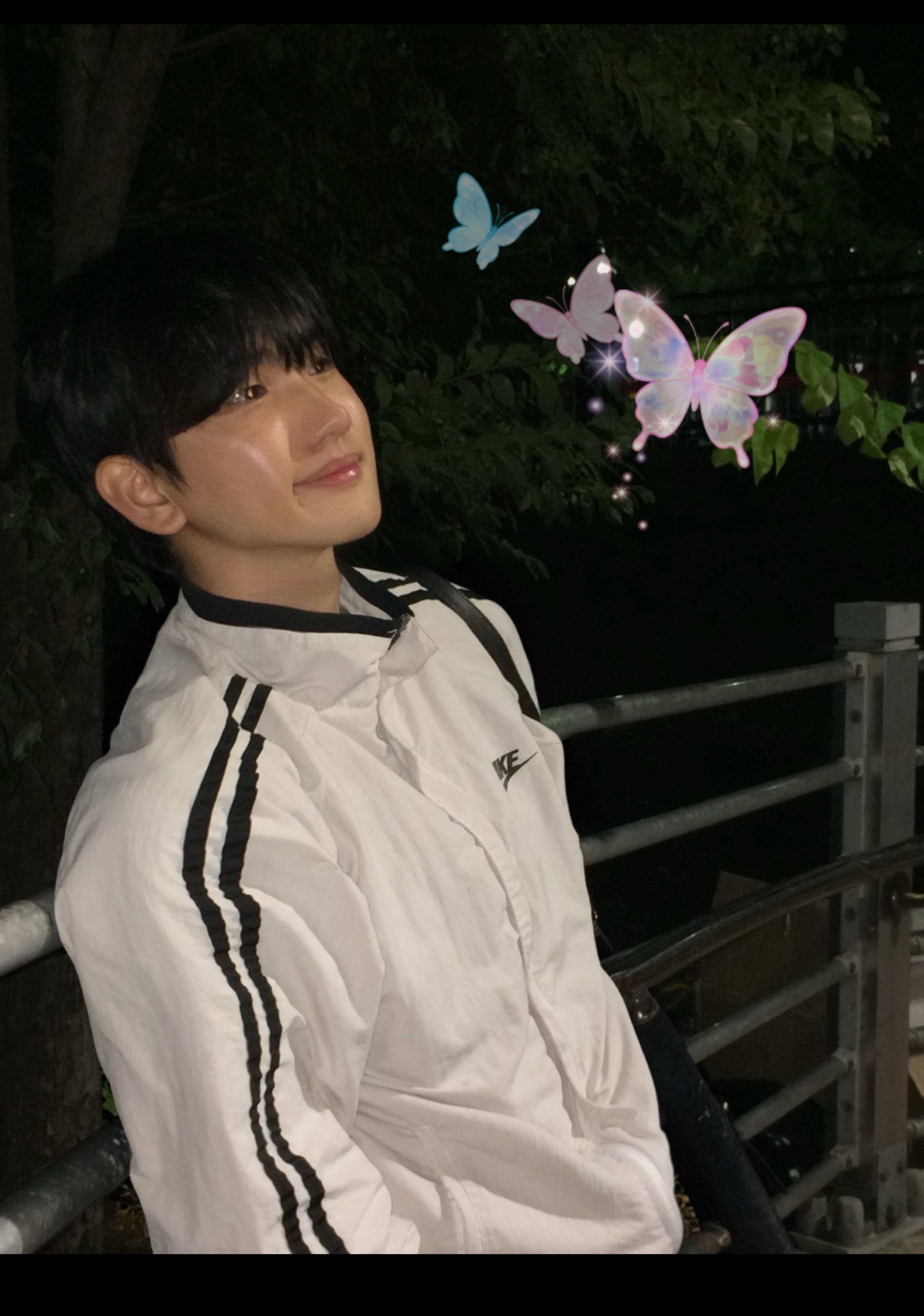 편안한 밤