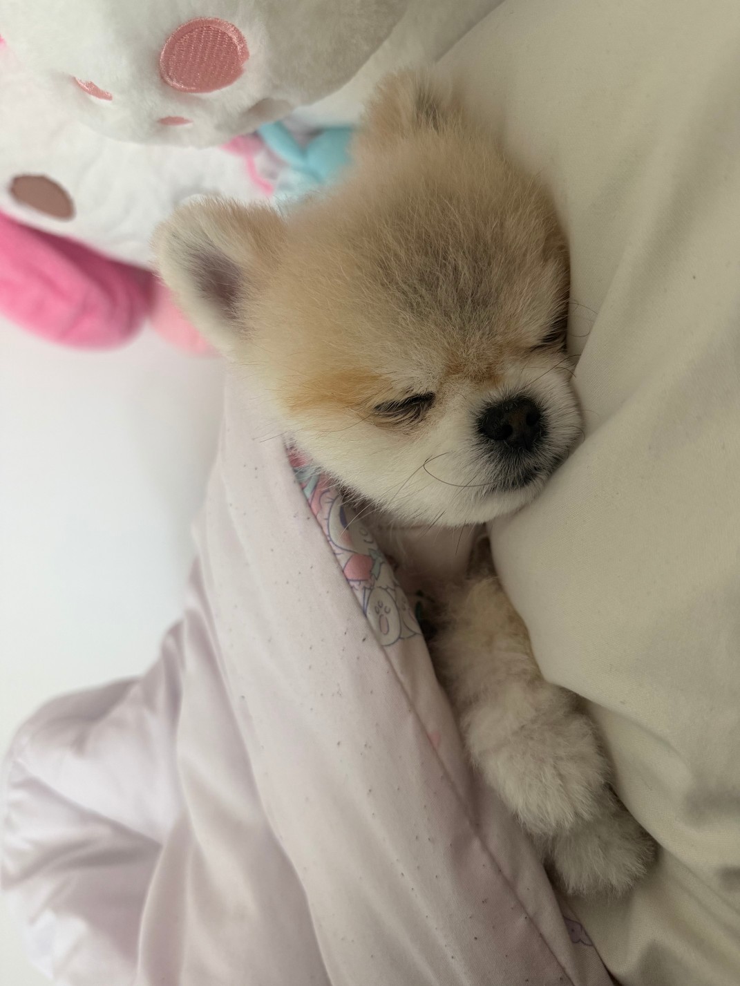 # 마감마감 진로진로개굴개굴