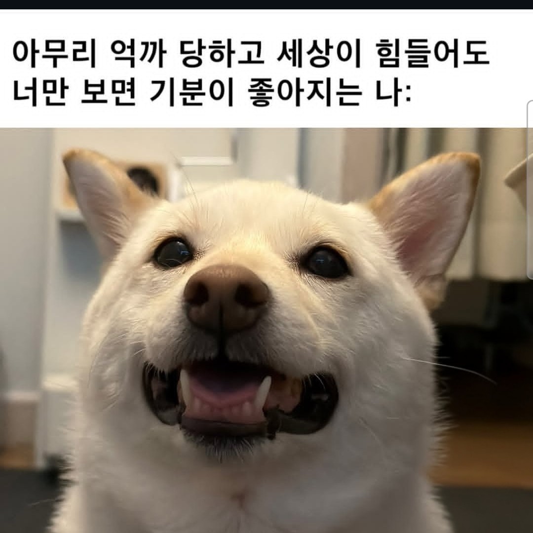 # 잔잔한 방 찾길래