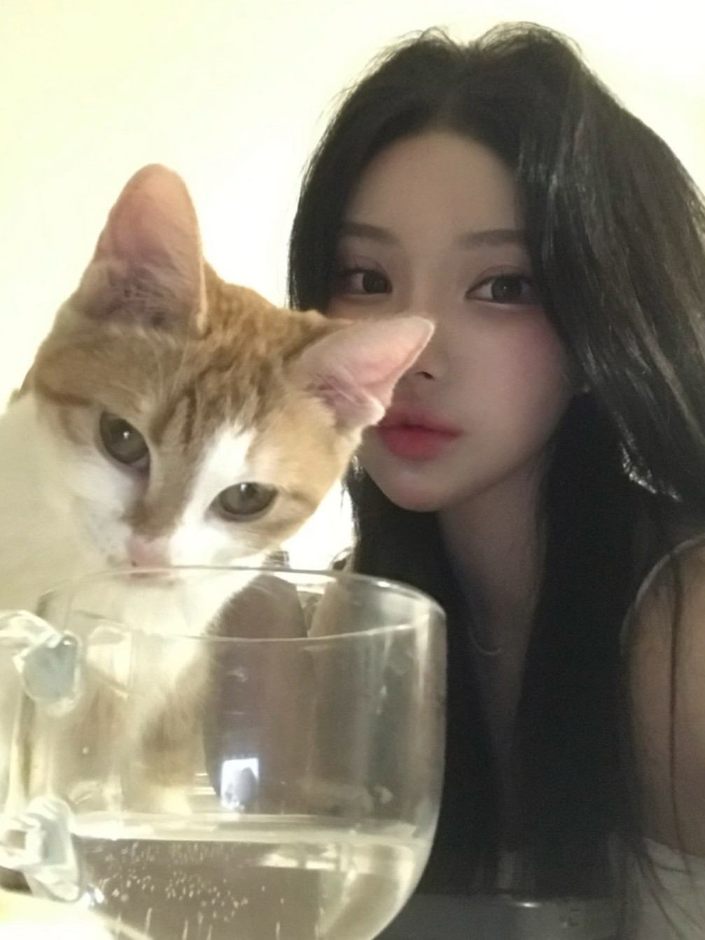 멘헤라
