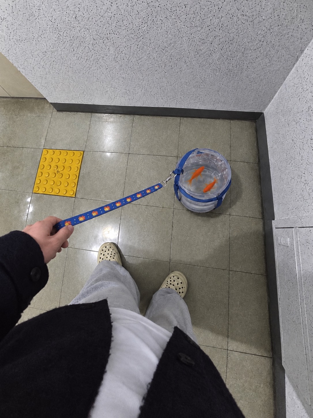 아기낳고싶어