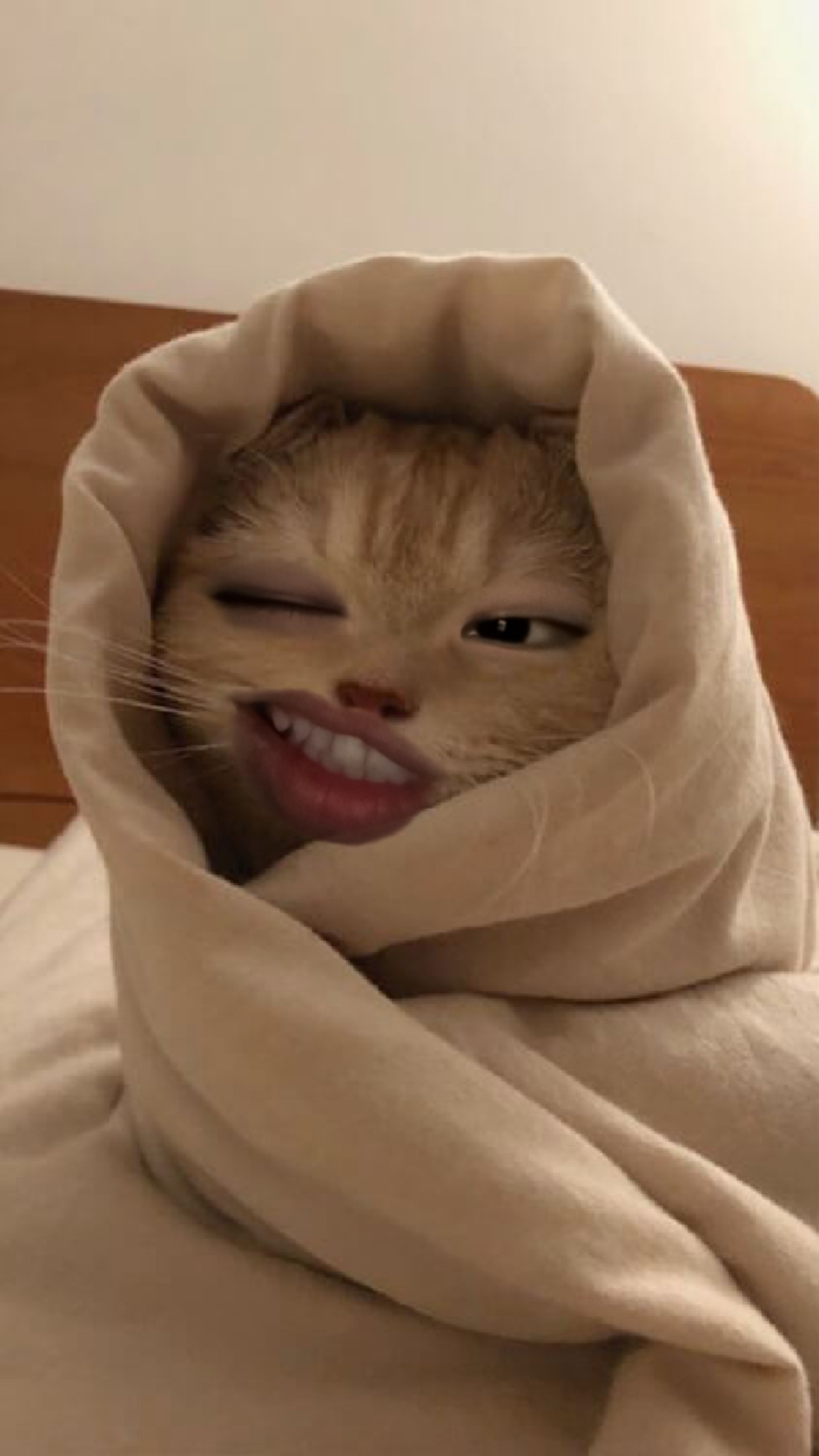 이상형 오면 맞팔