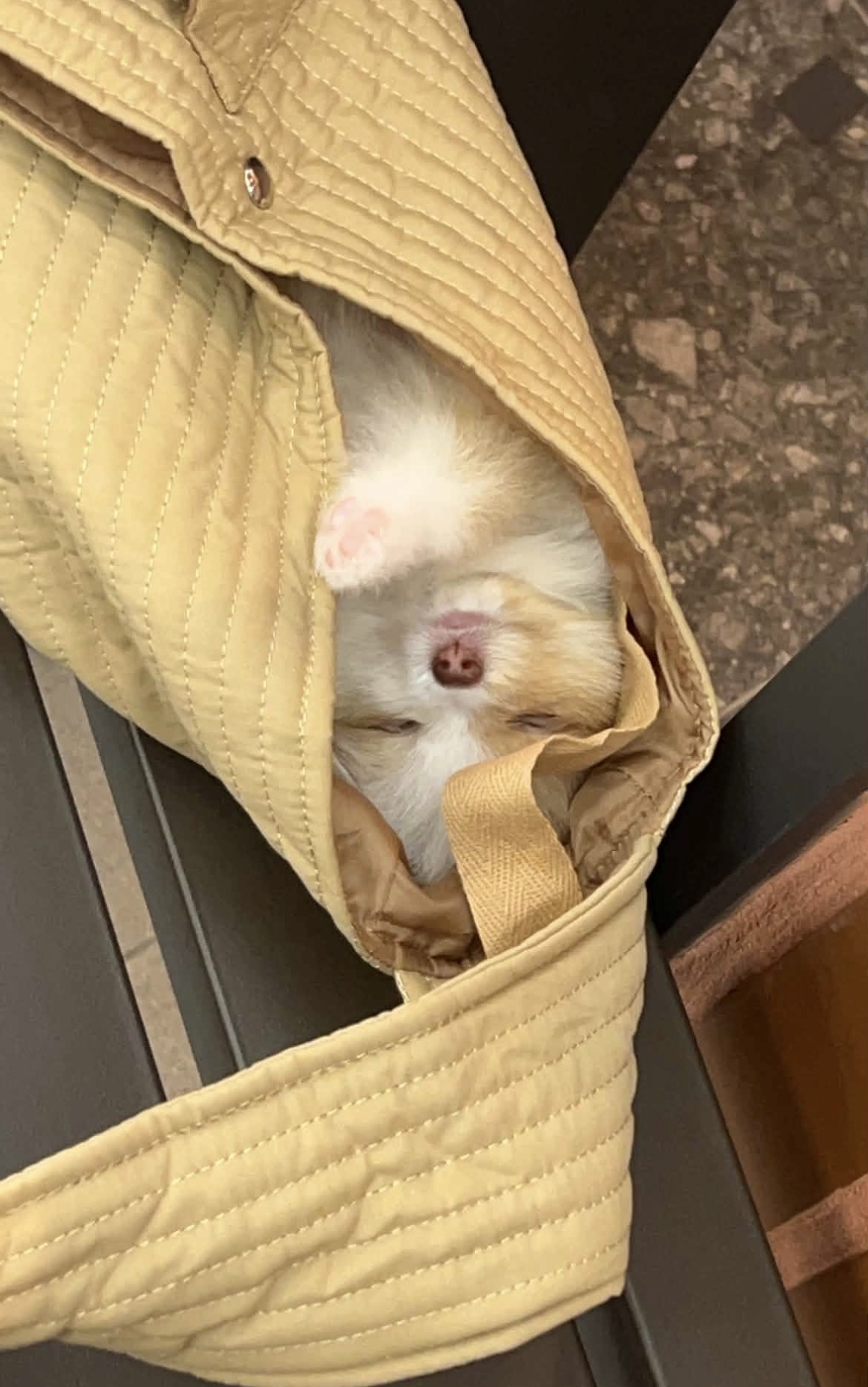 _신입 이번엔 조금 다를껄 ? 