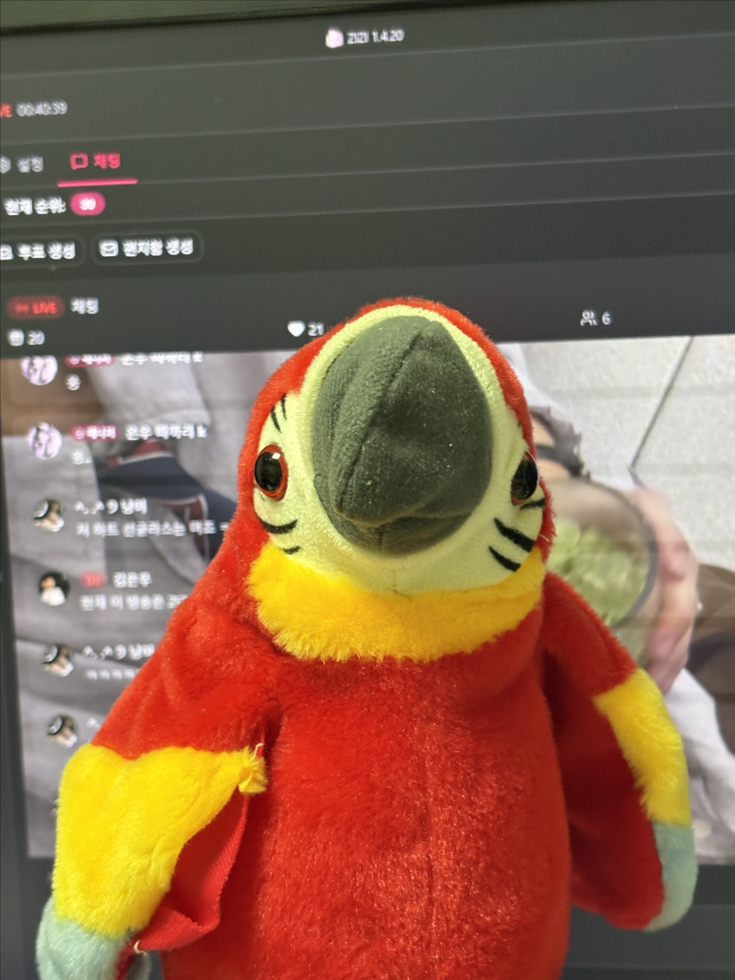 _신입 이번엔 조금 다를껄 ? 