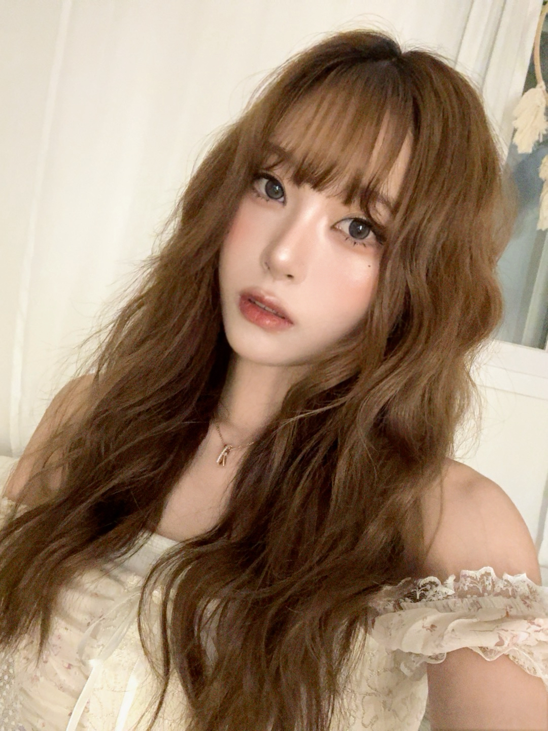 보고시퍼