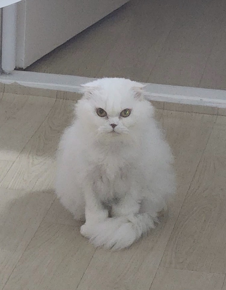 혼자야?