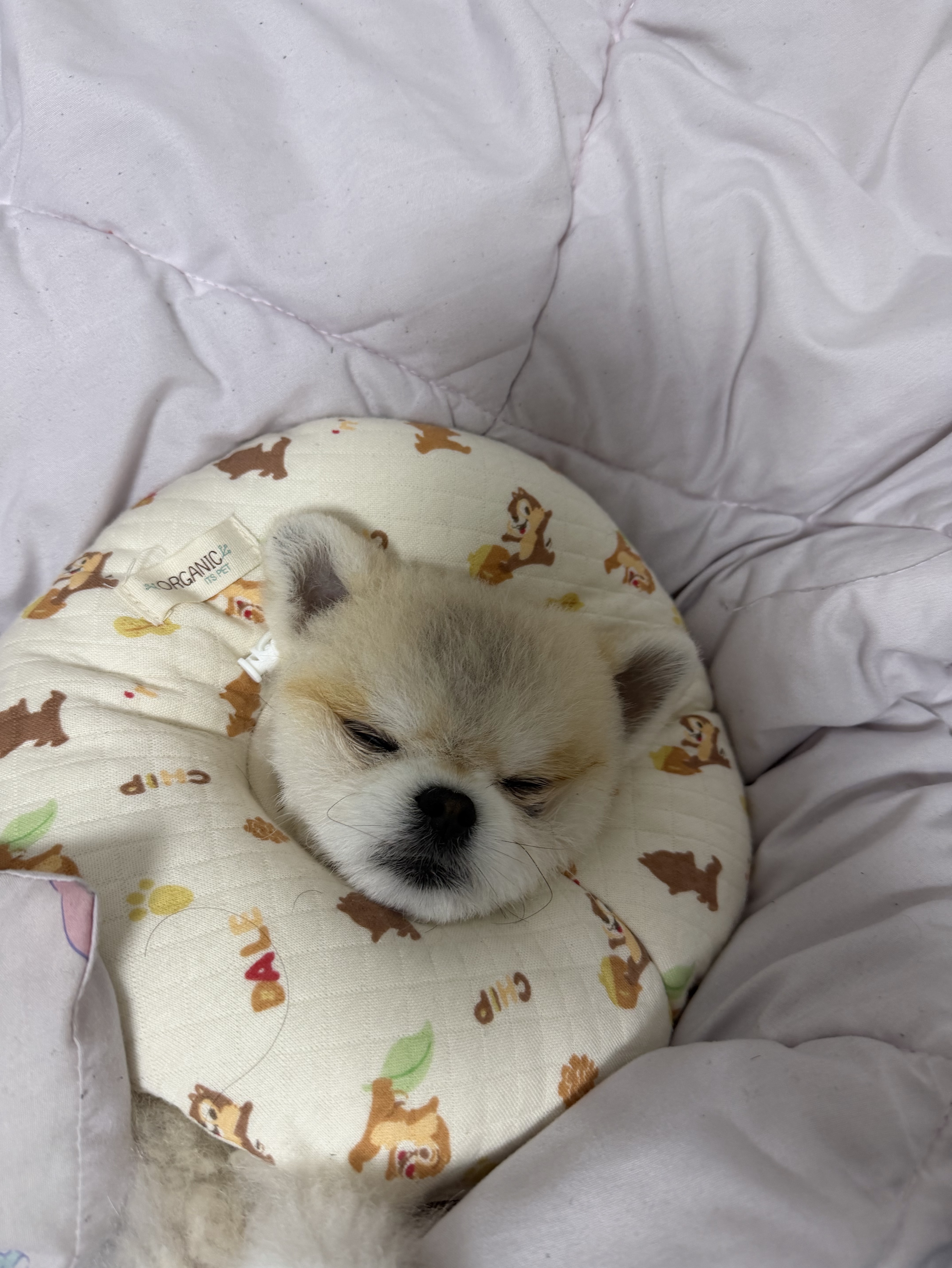 # 자? 자니? 아 자는구나ㅠ