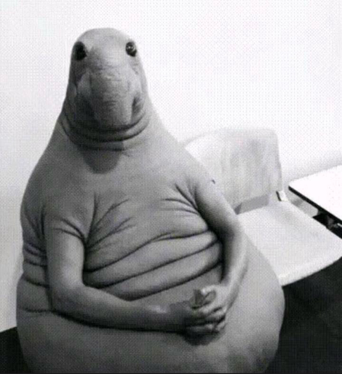 뚱녀들아..