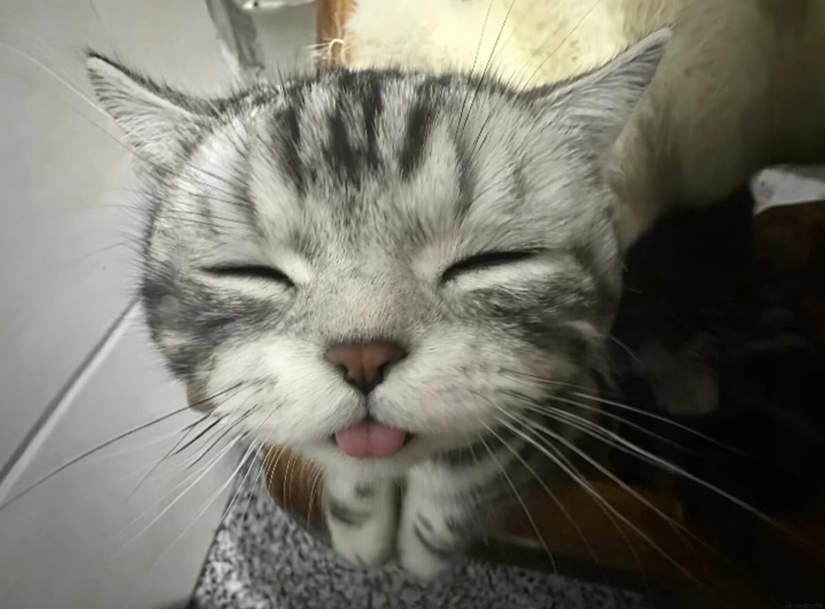 안녀엉