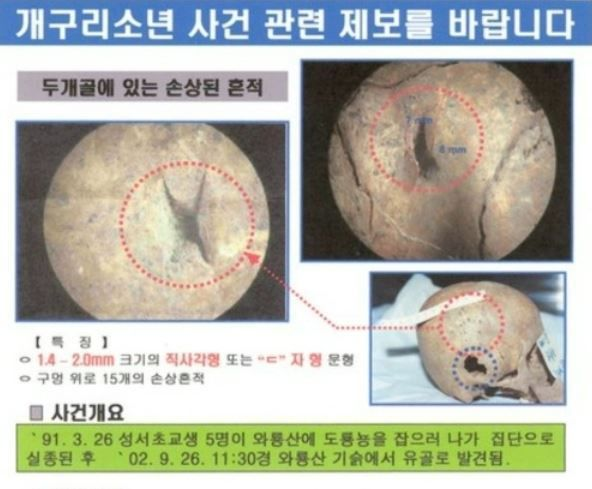 개구리소년들은 어디갔는가 , 미스테리