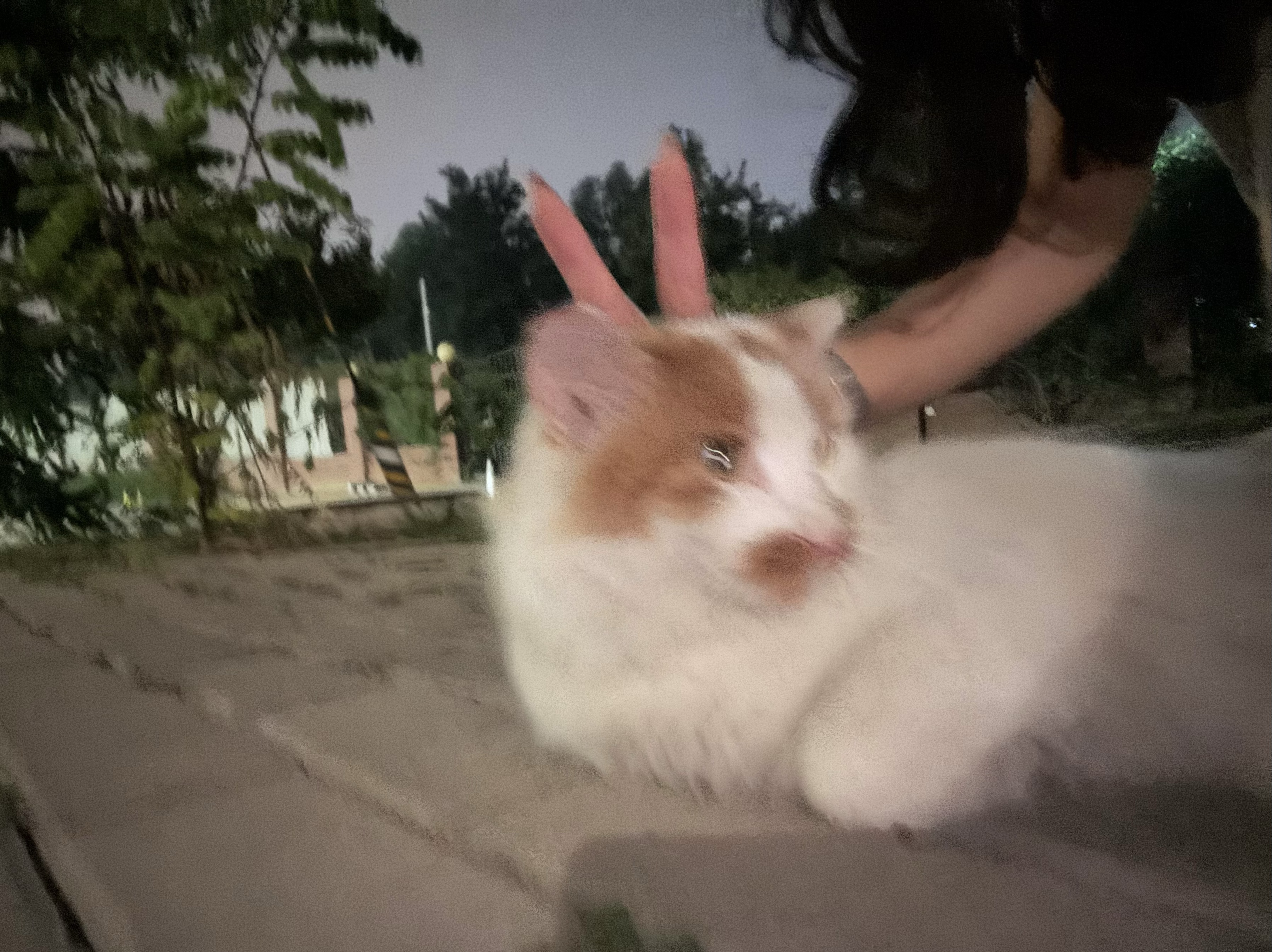 오래 보아야 예쁘다