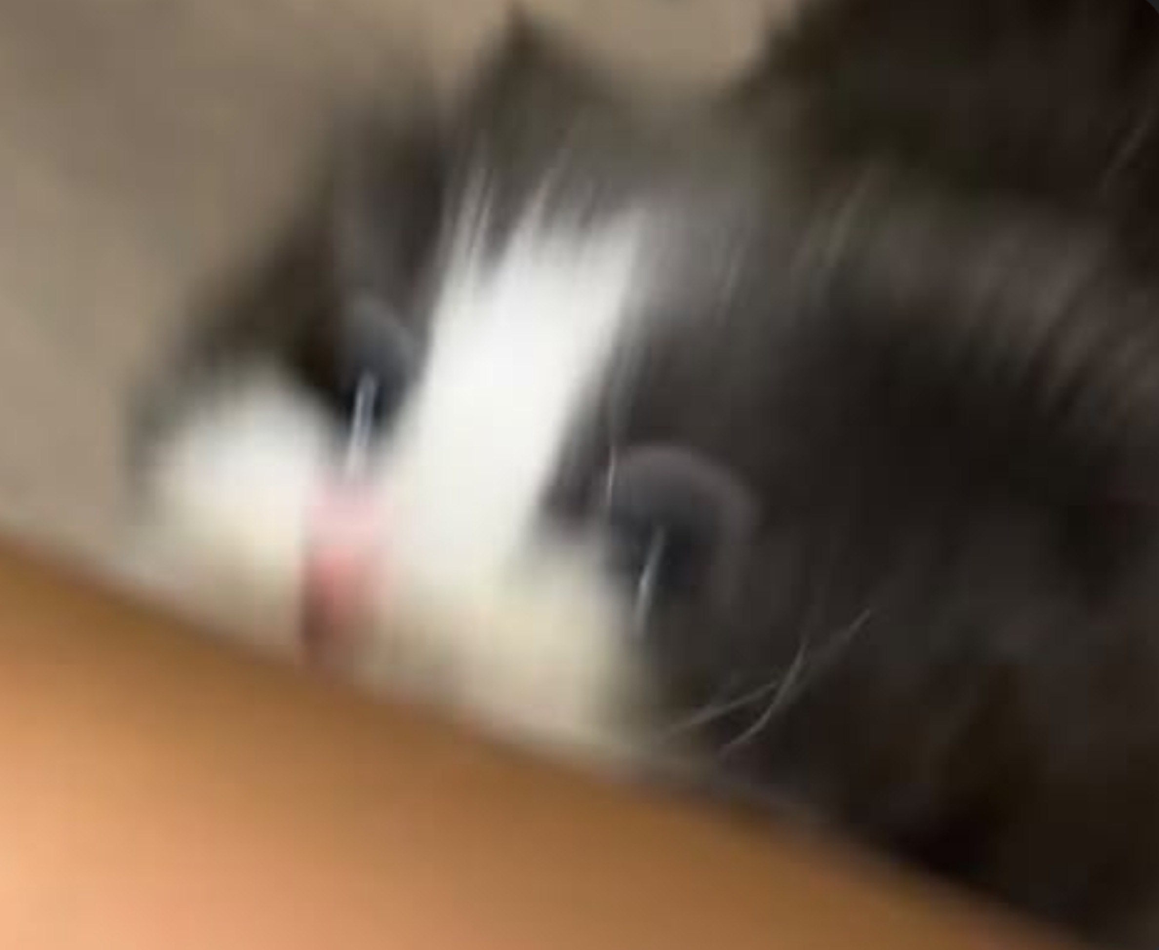 🙉🙉🙉