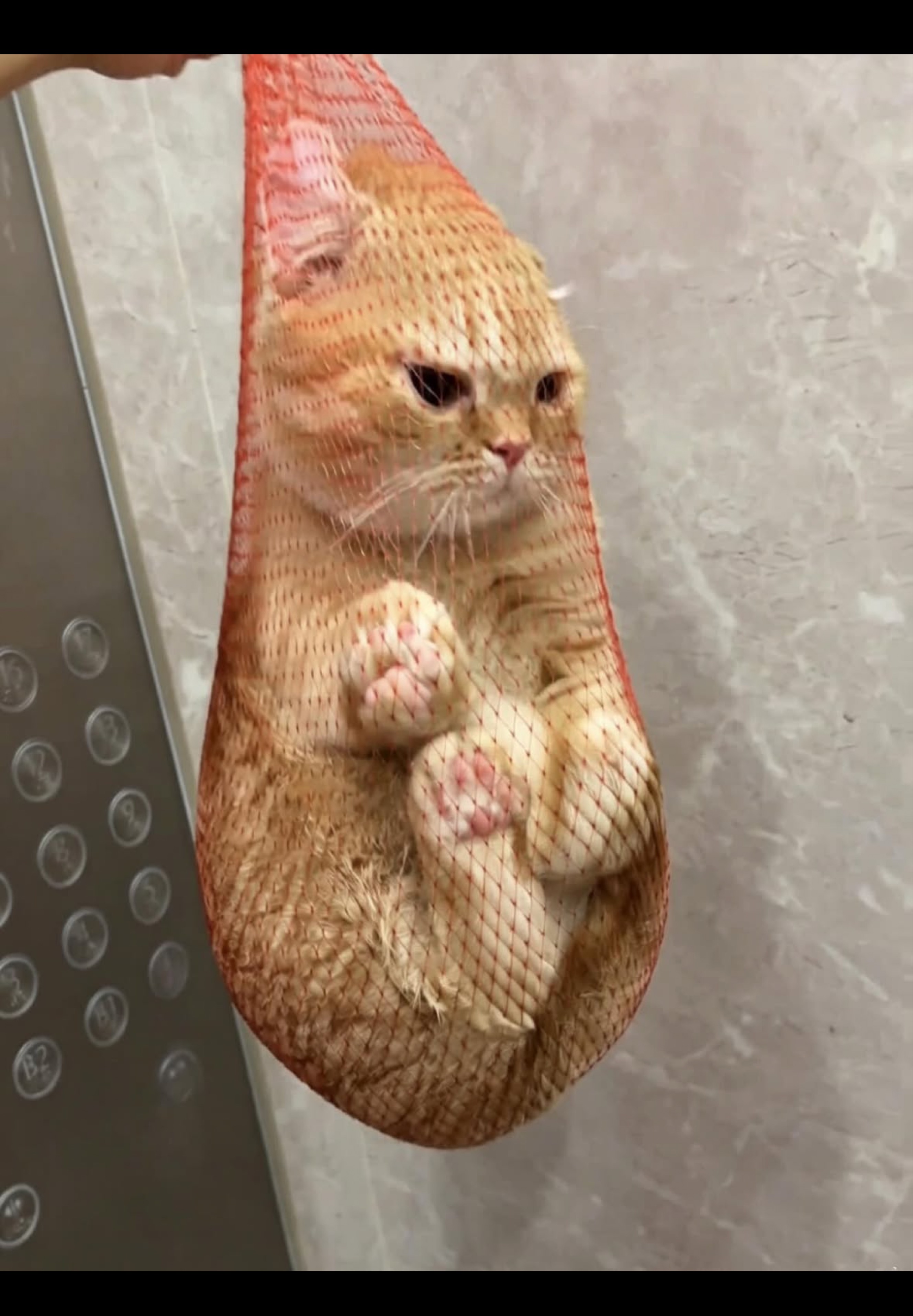 아니..