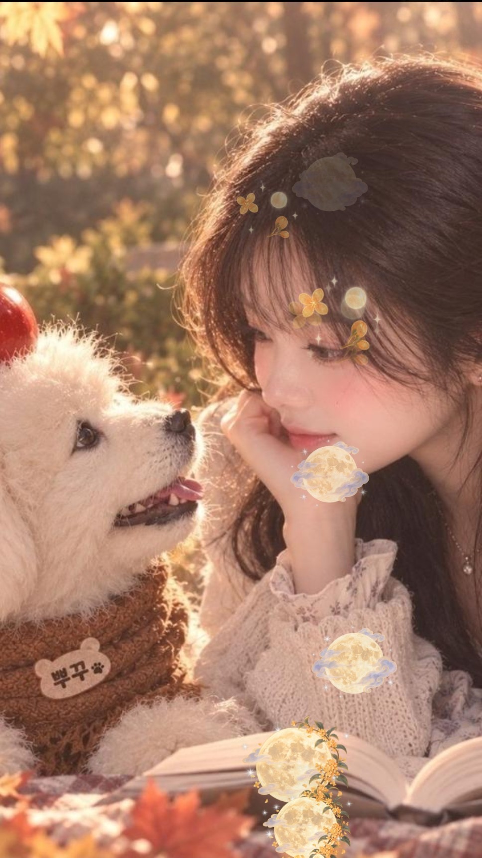 가을이니까🍂