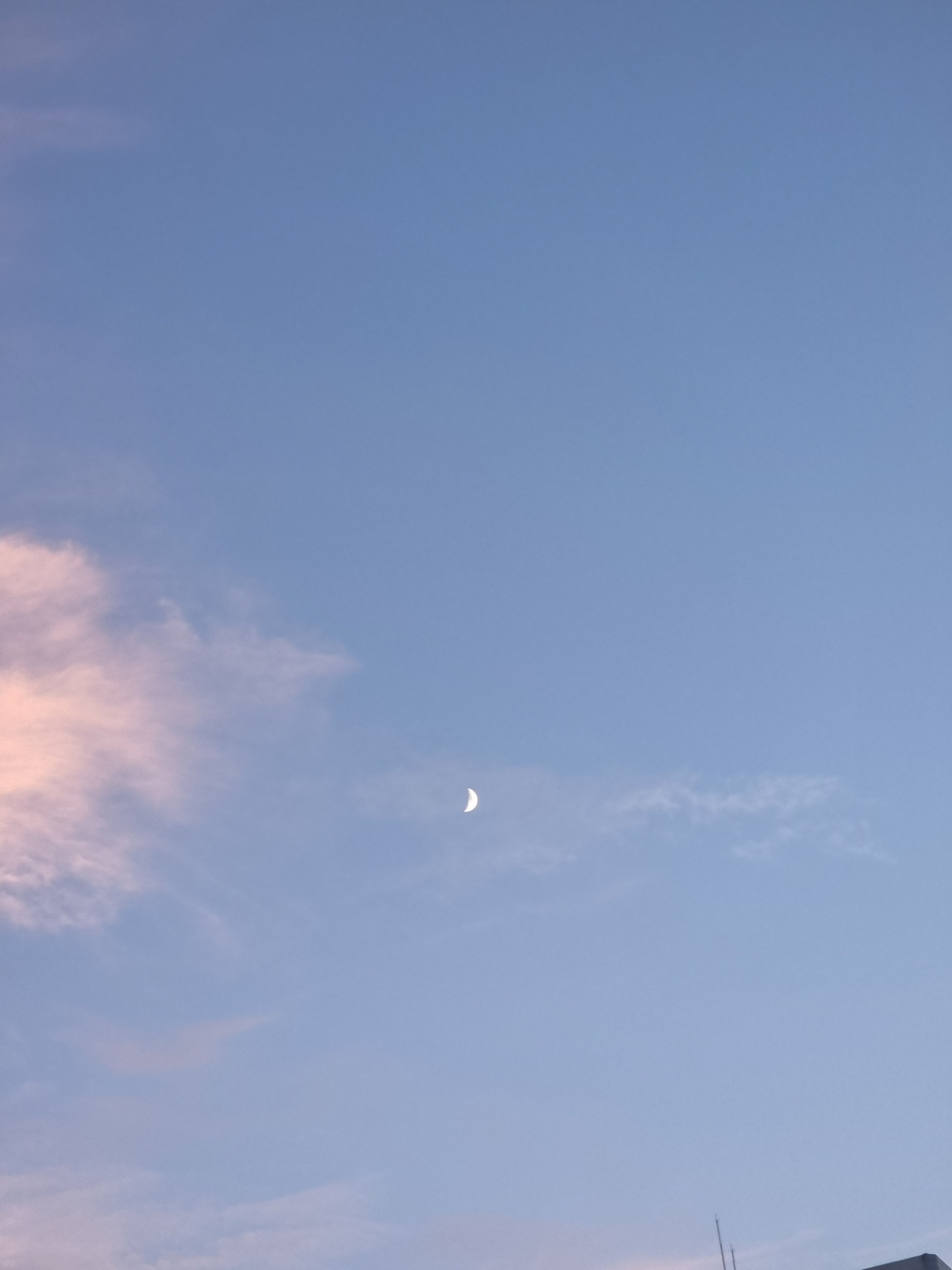 잔 잔 노 래