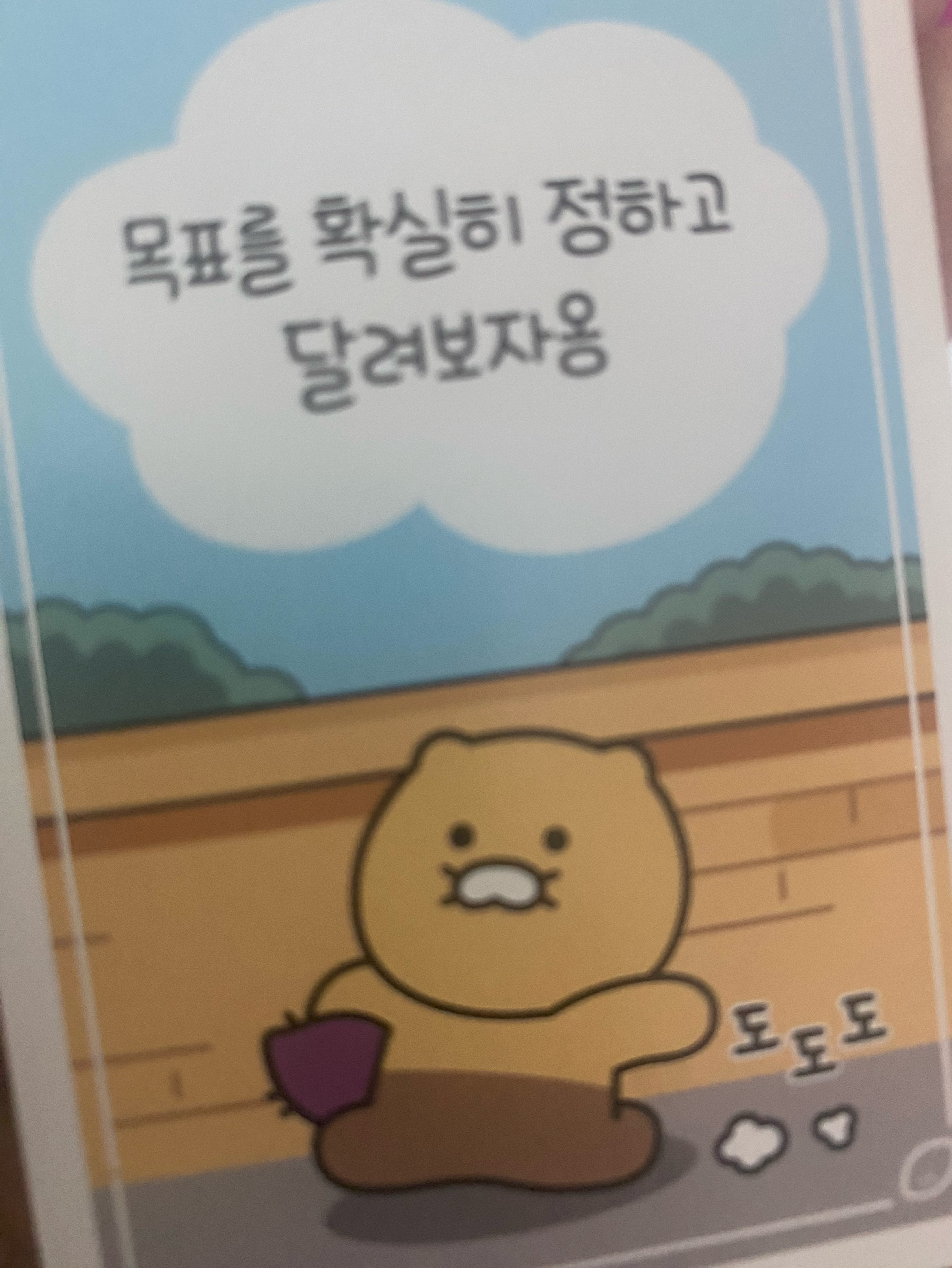 갱상도얼짱 𝙁𝙈.𝟭 / 야 삐