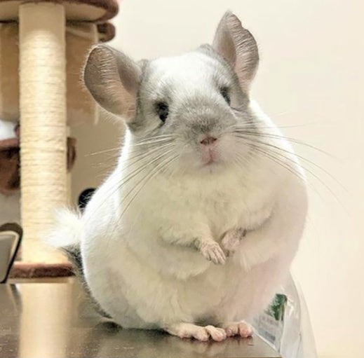 불편한 편의점🫝