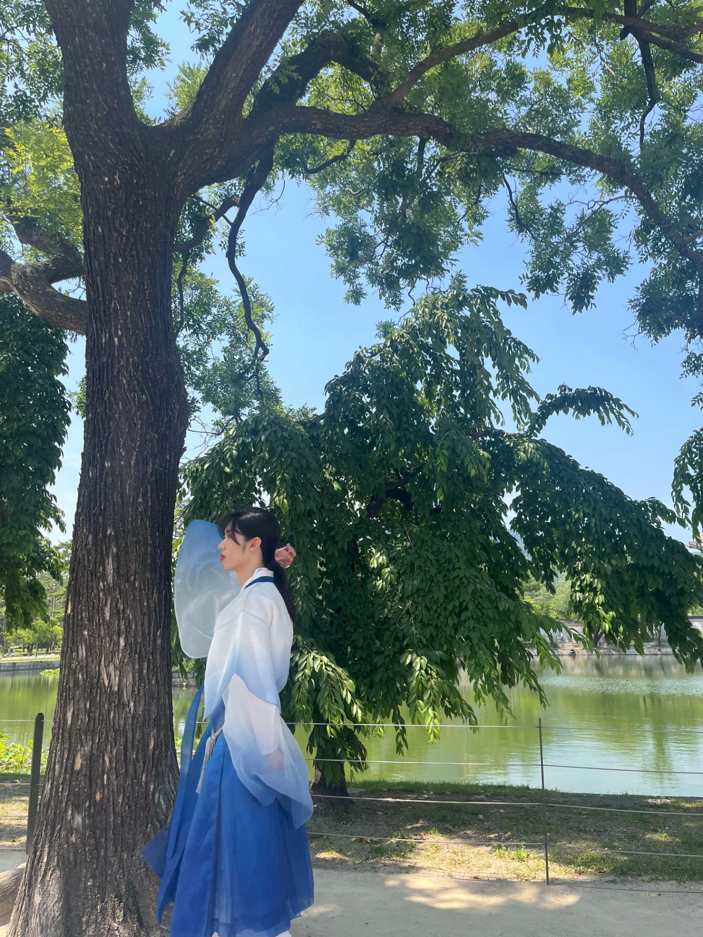 송편 받아가세요..❤️ + 타로운세