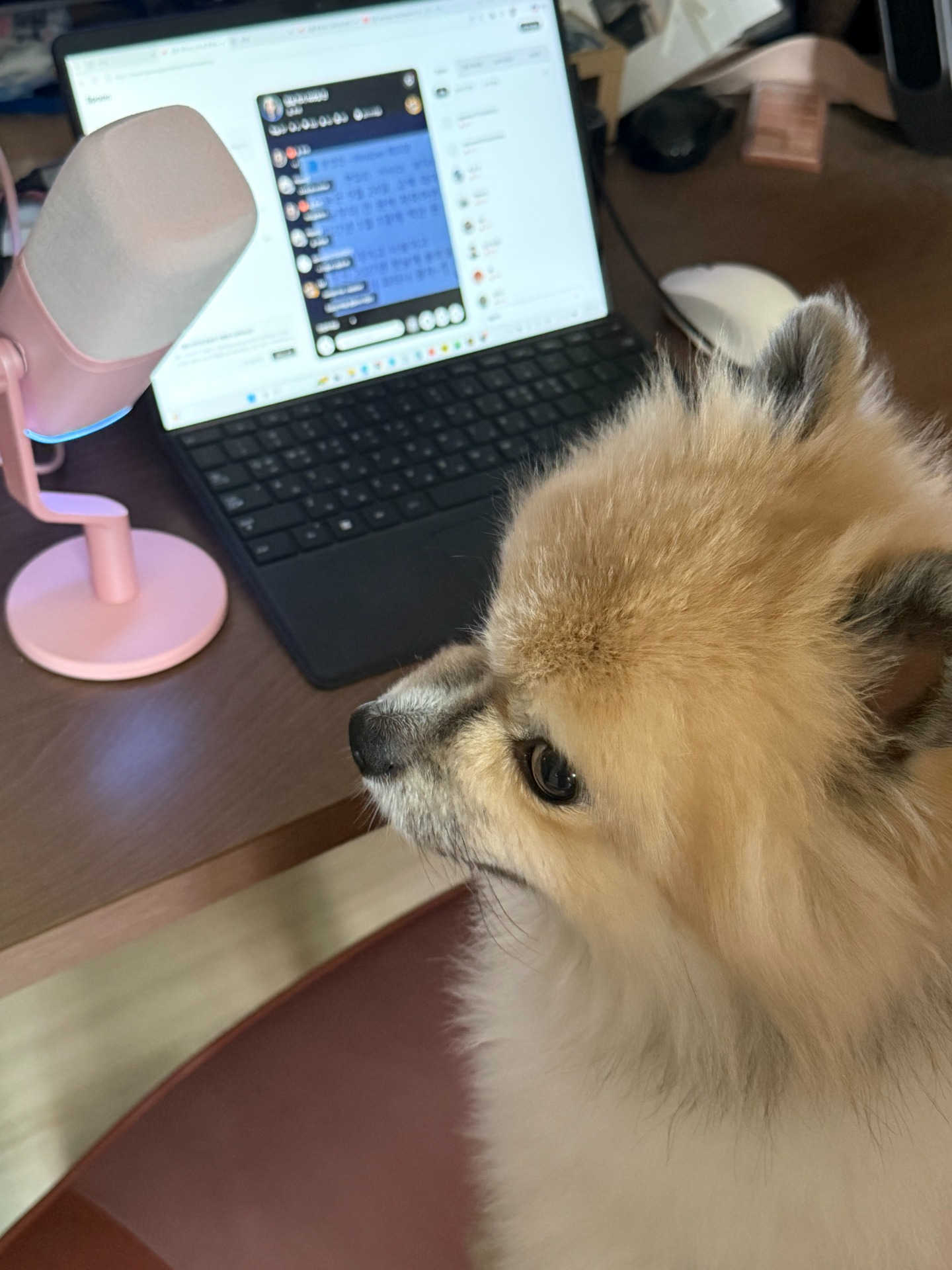 한살 먹기 100일 전