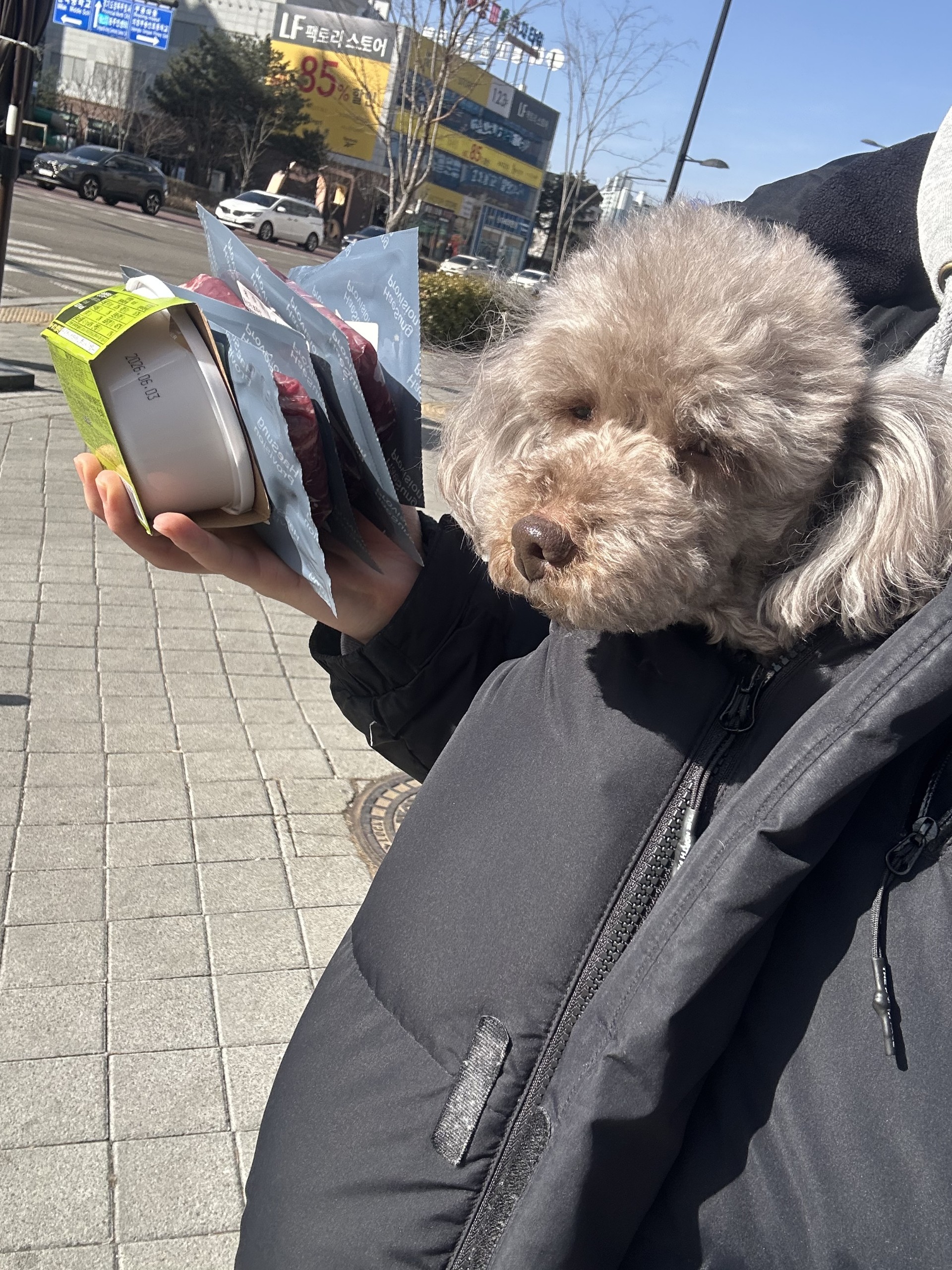 이리오너라.ꗄ