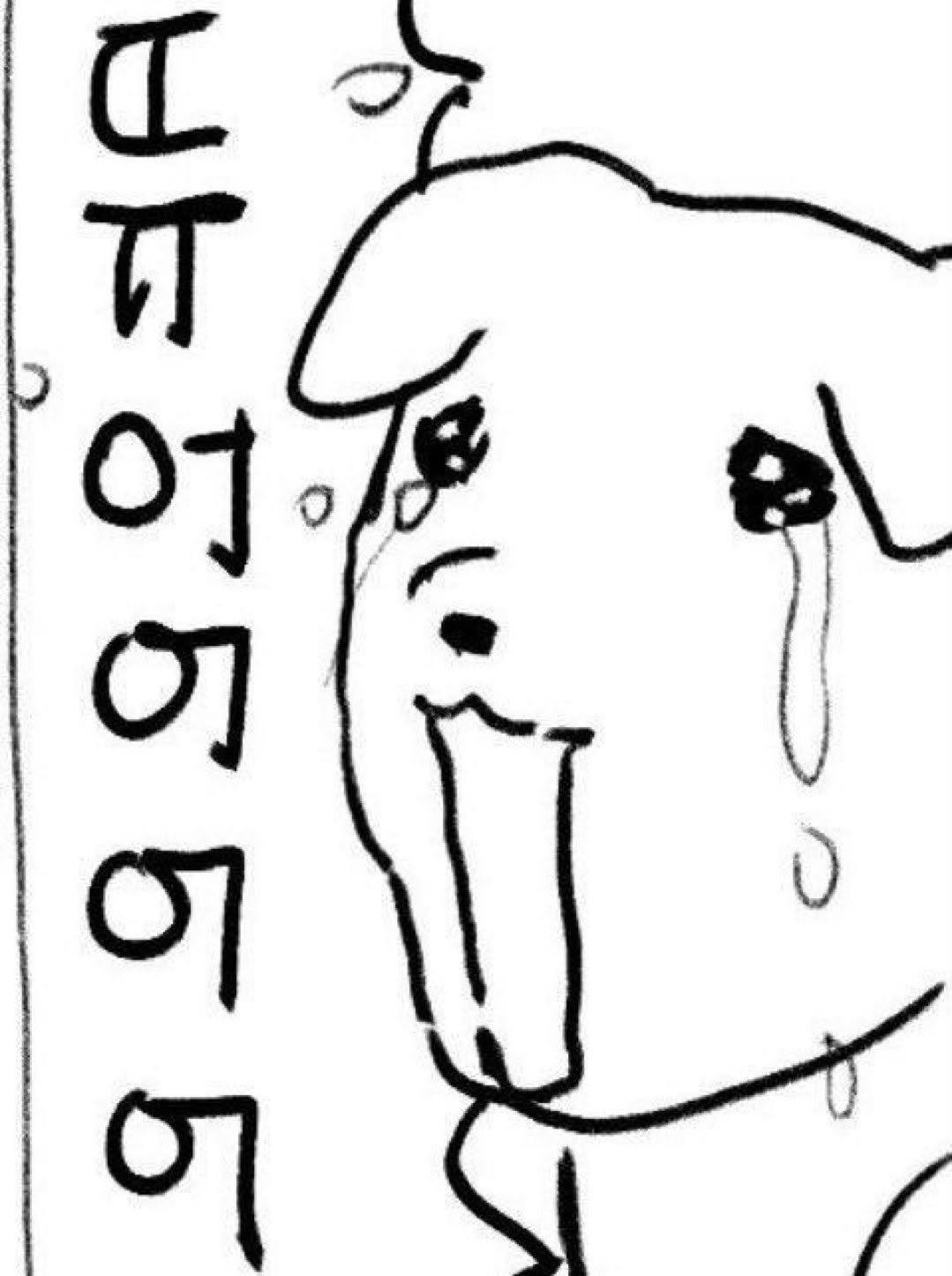 나 보러올래?